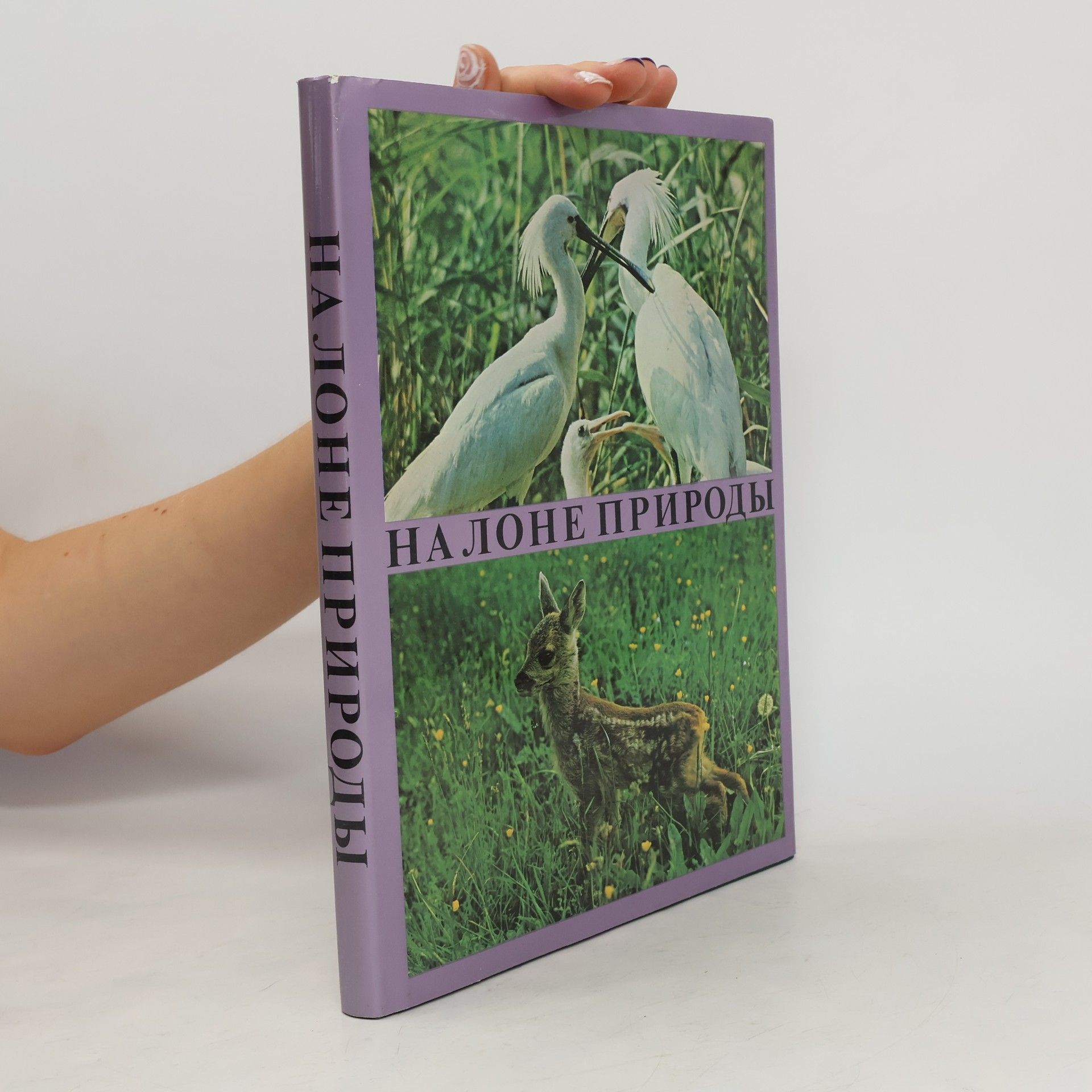 Борис Георгиев  На лоне природы