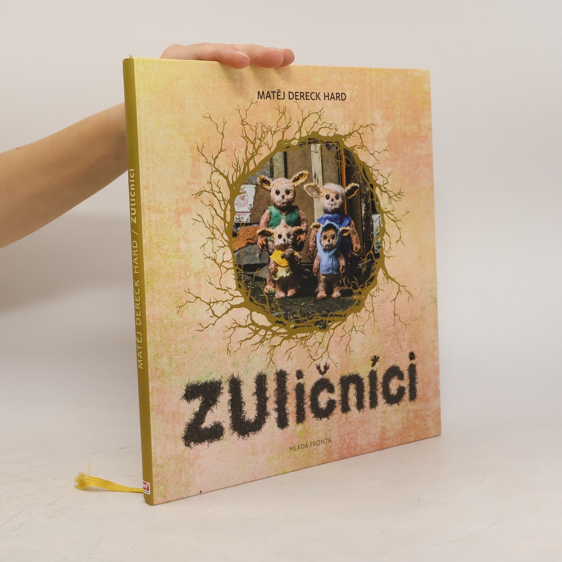 Dereck Hard ZUličníci