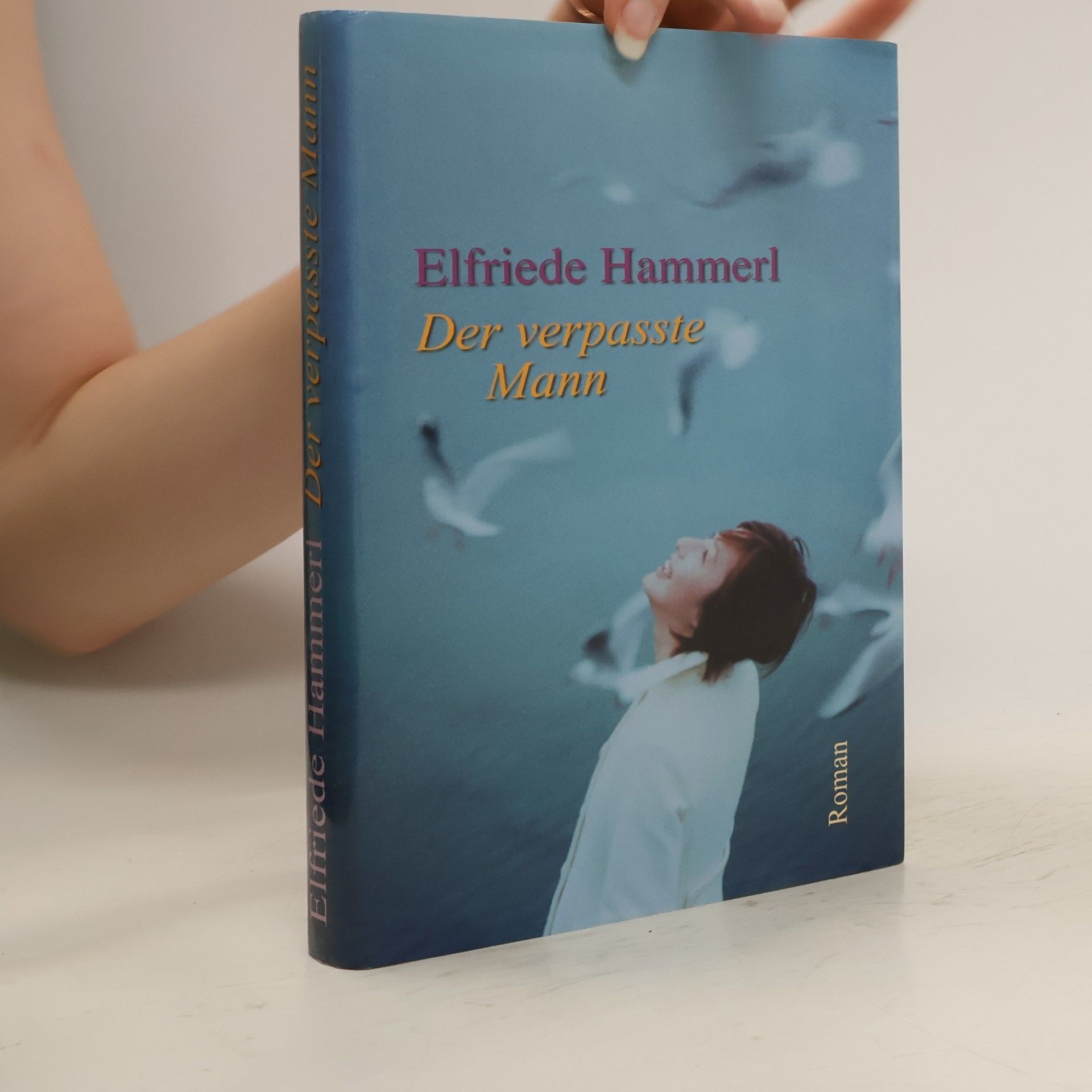 Elfriede Hammerl Der verpasste Mann
