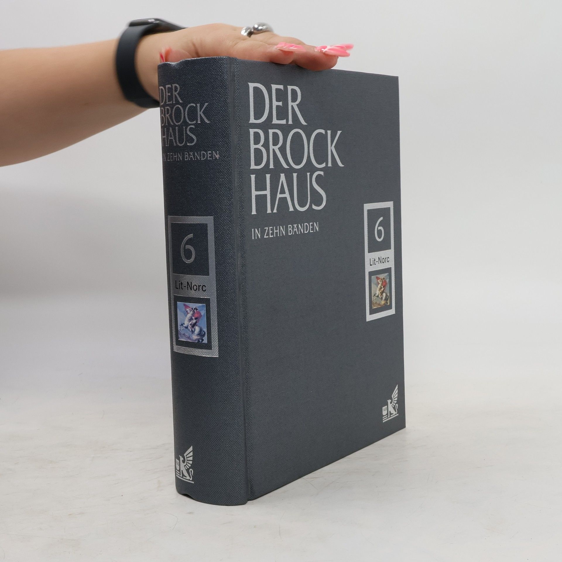 kolektiv Der Brockhaus in zehn Bänden. Band 6