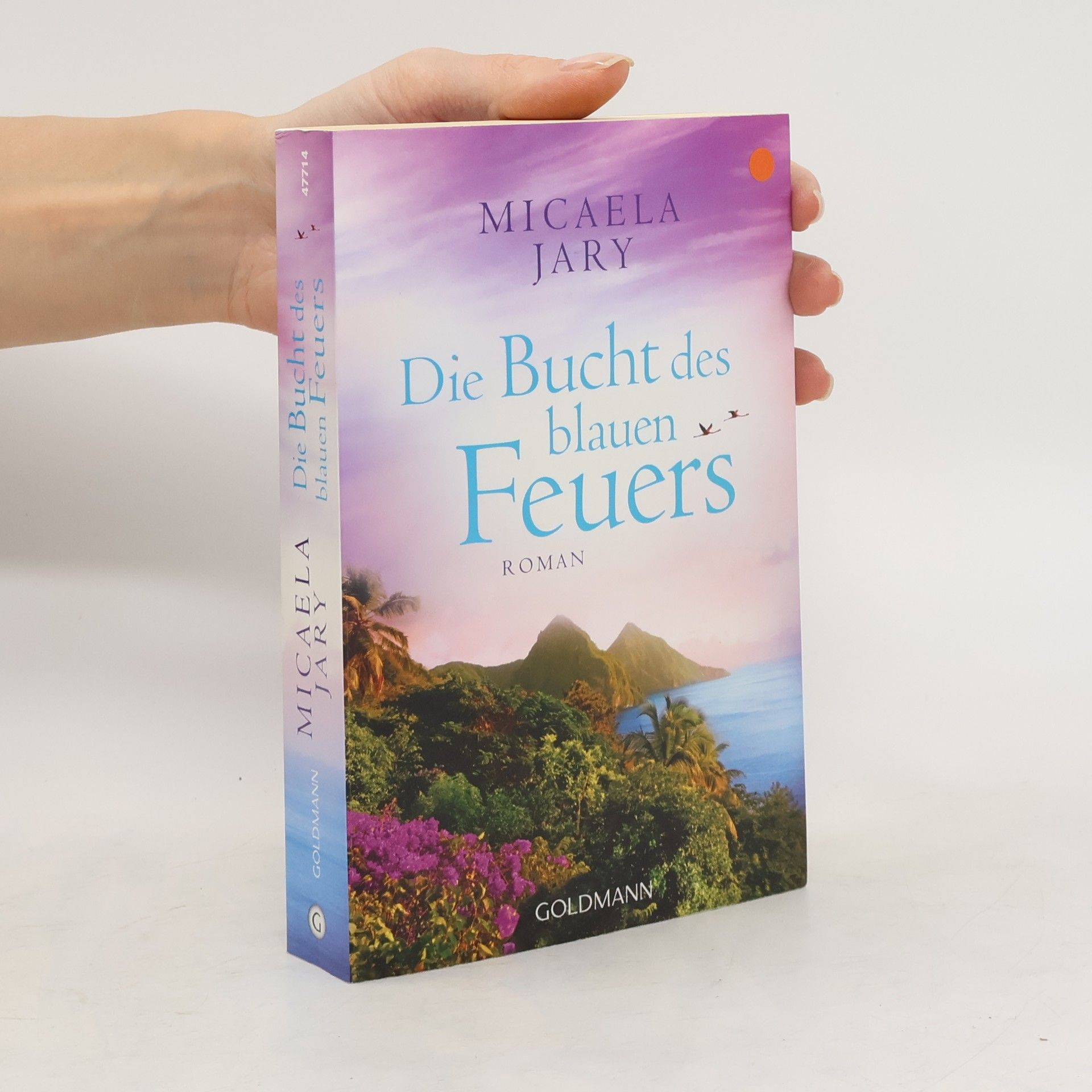 Micaela Jary Die Bucht des blauen Feuers