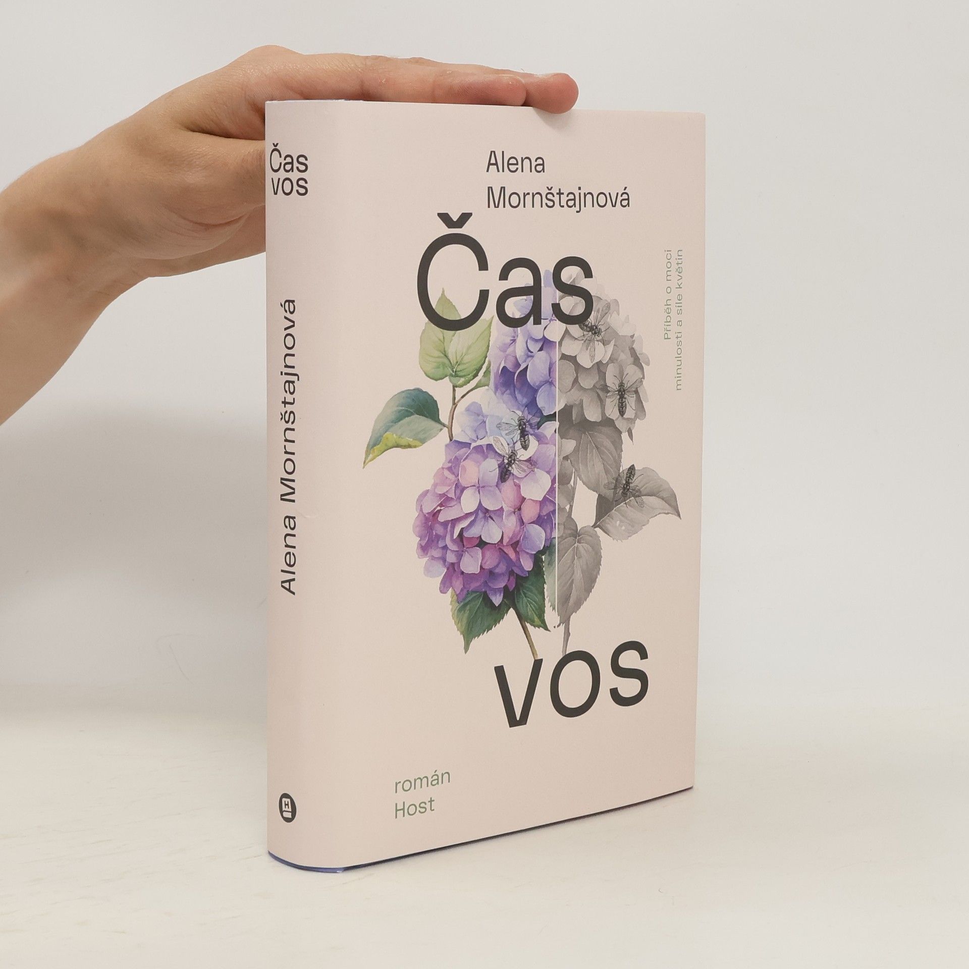 Alena Mornštajnová Čas vos