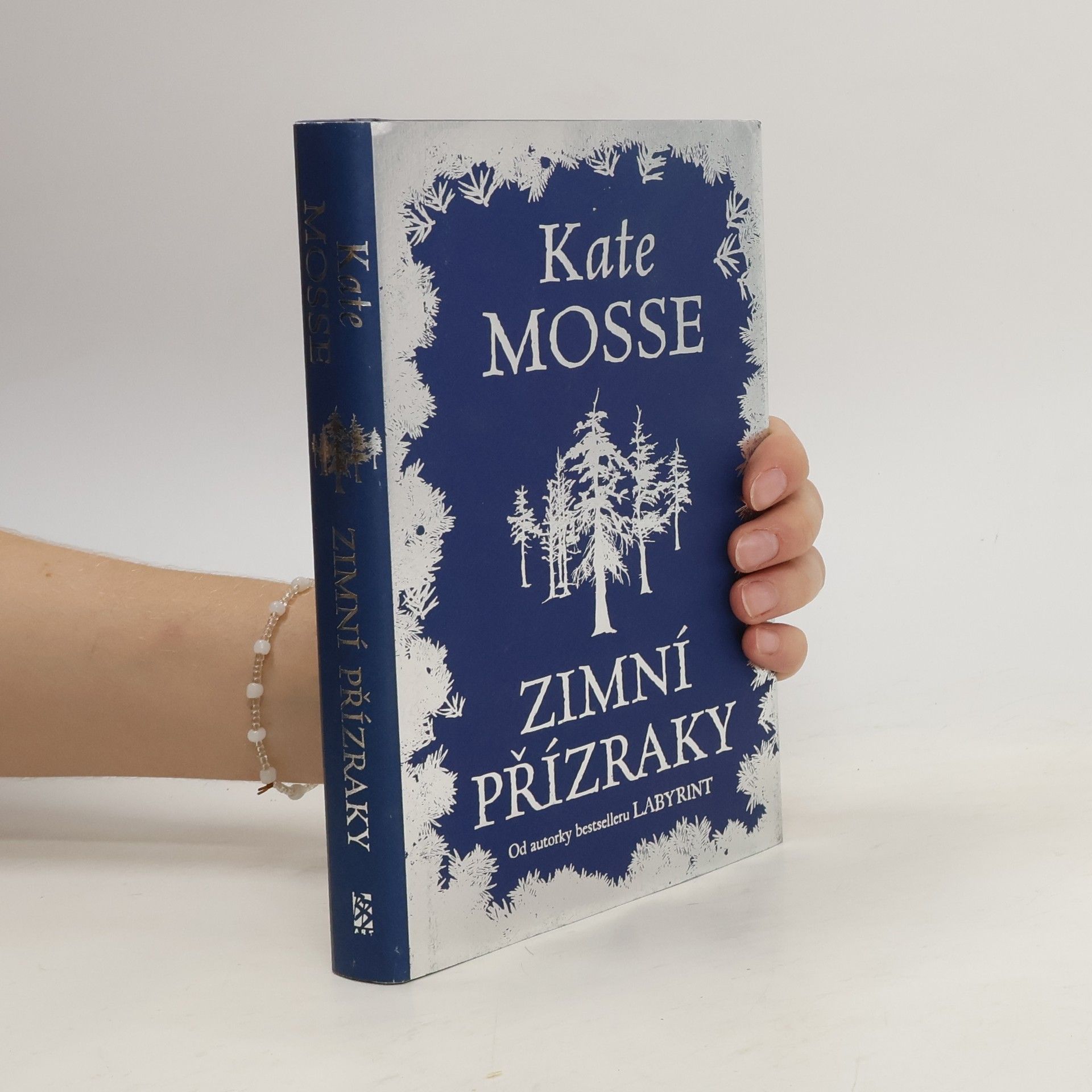 Kate Mosse Zimní přízraky