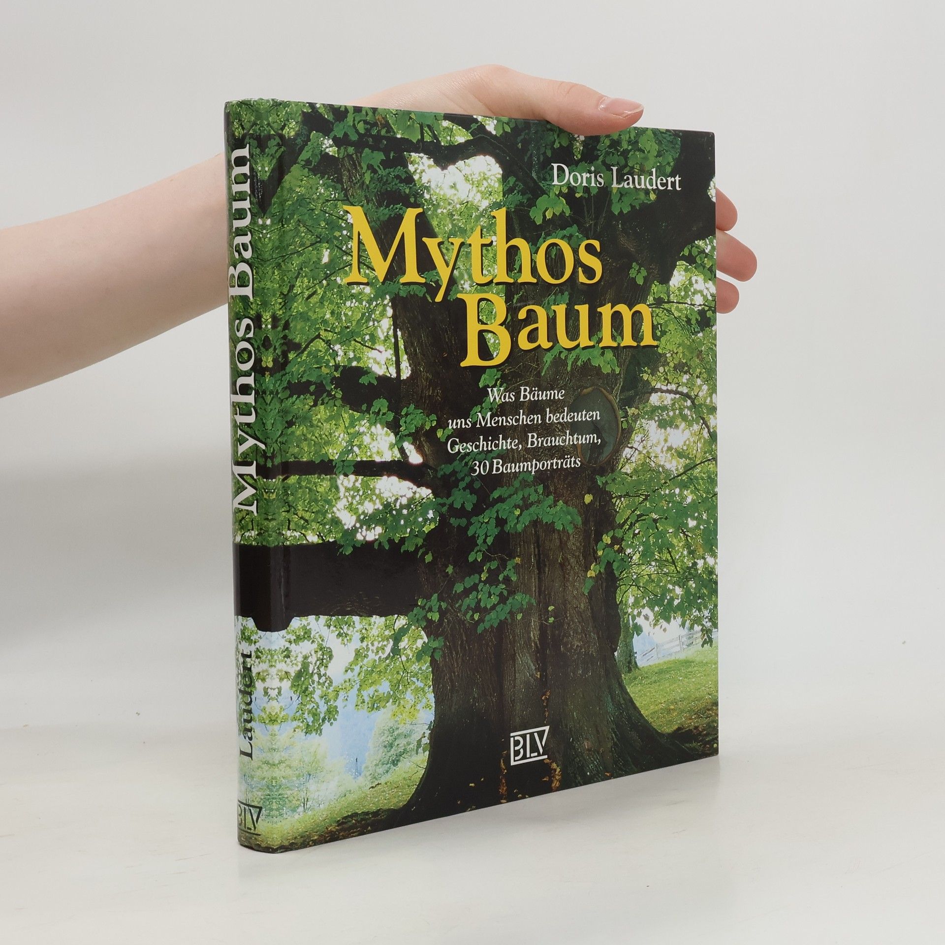 Doris Laudert Mythos Baum