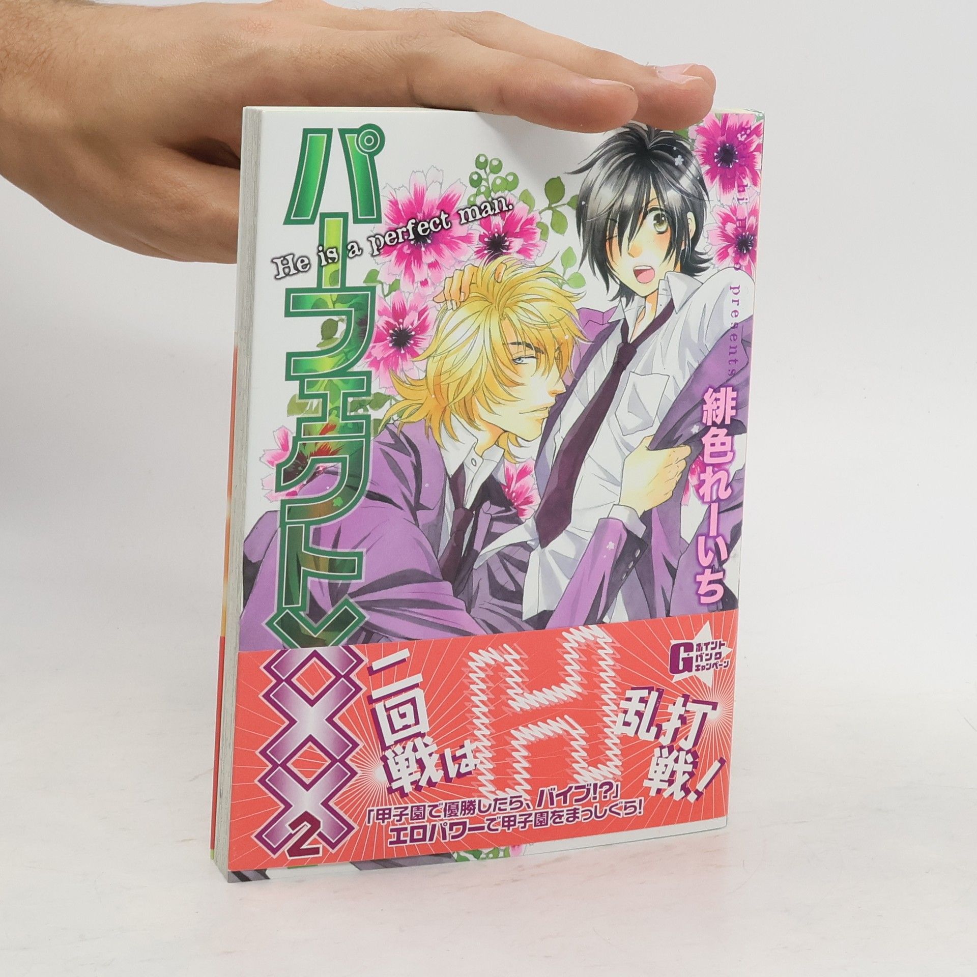 Reiichi Hiiro パーフェクト××× 2