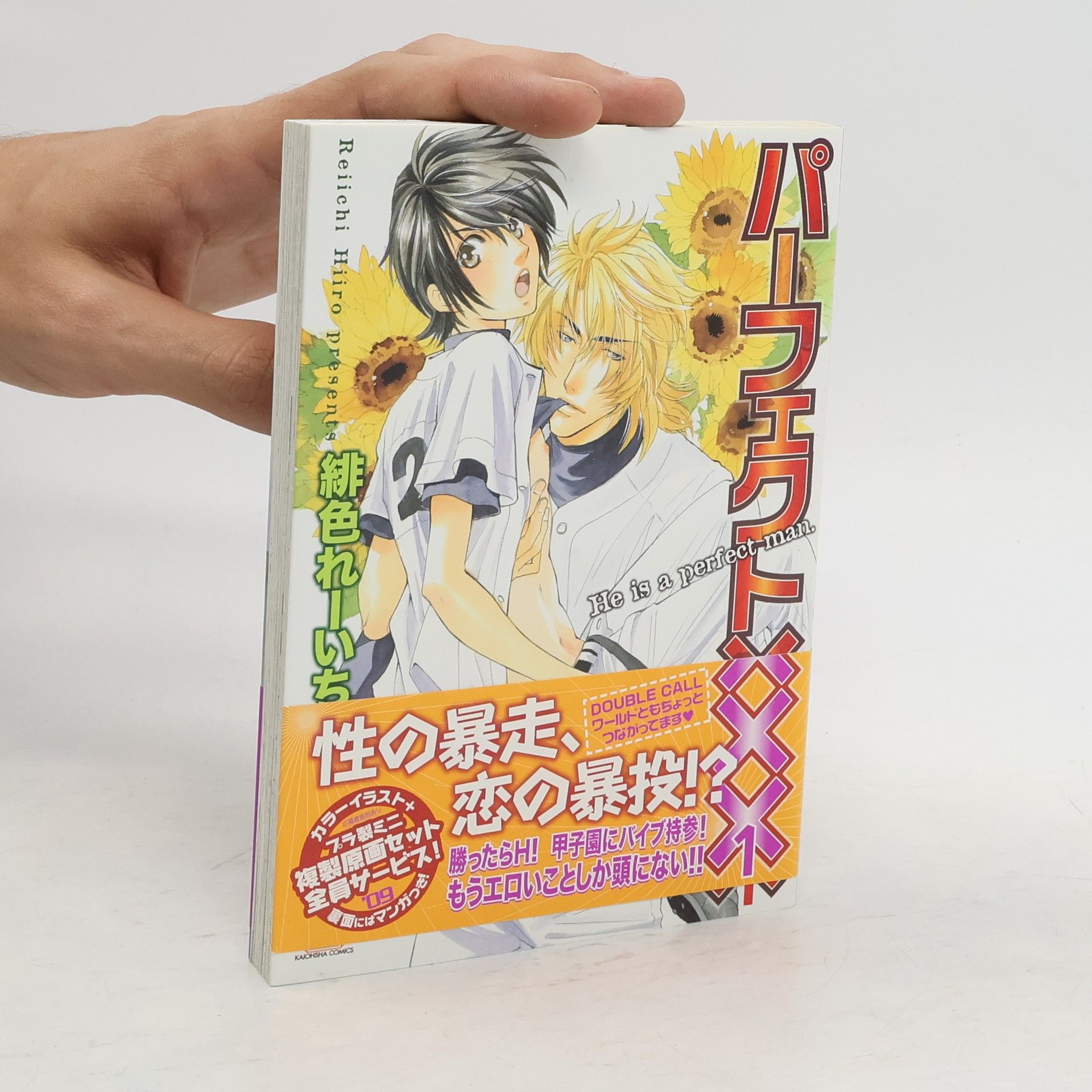 Reiichi Hiiro パーフェクト××× 1