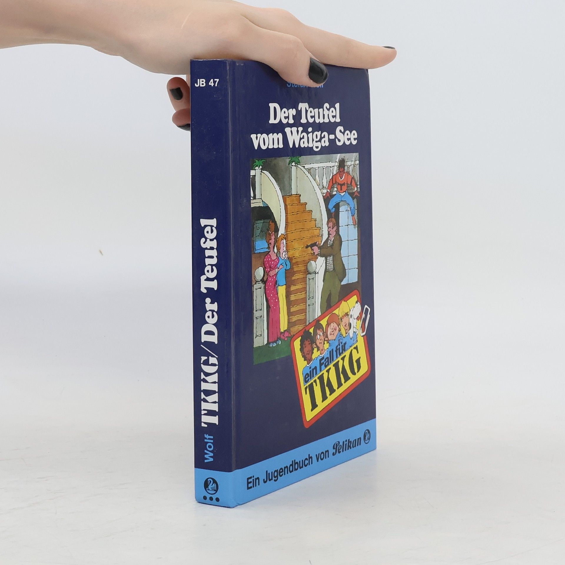 Stefan Wolf Ein Fall für TKKG: Der Teufel vom Waiga-See