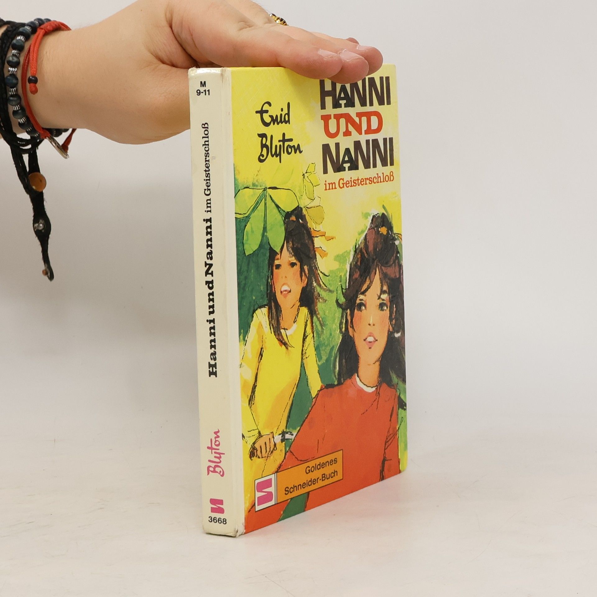 Enid Blyton Hanni und Nanni im Geisterschloß