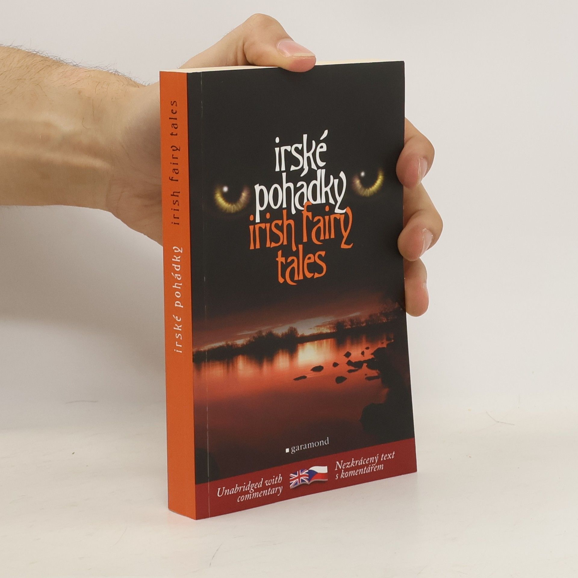 Lukáš Houdek Irish fairy tales = Irské pohádky