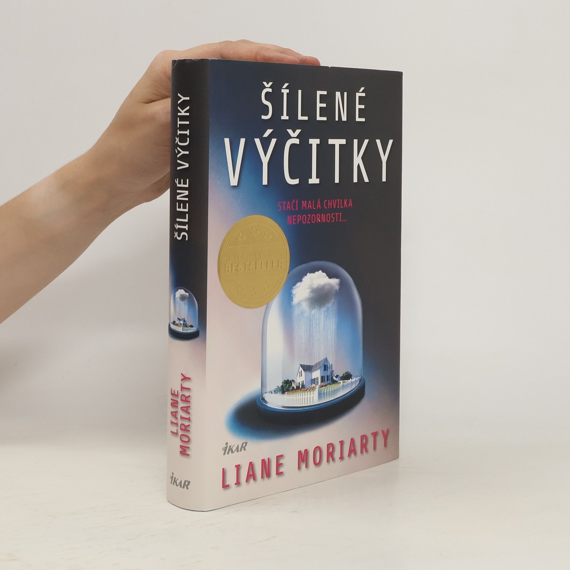 Liane Moriarty Šílené výčitky