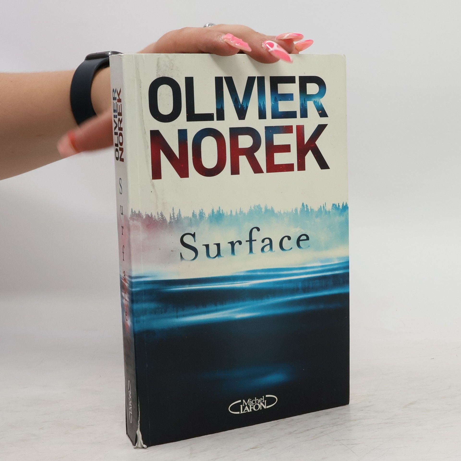 Olivier Norek Surface