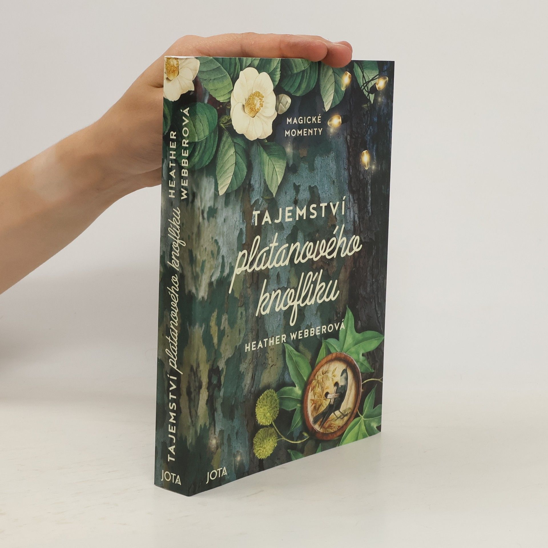 Heather Webber Tajemství platanového knoflíku