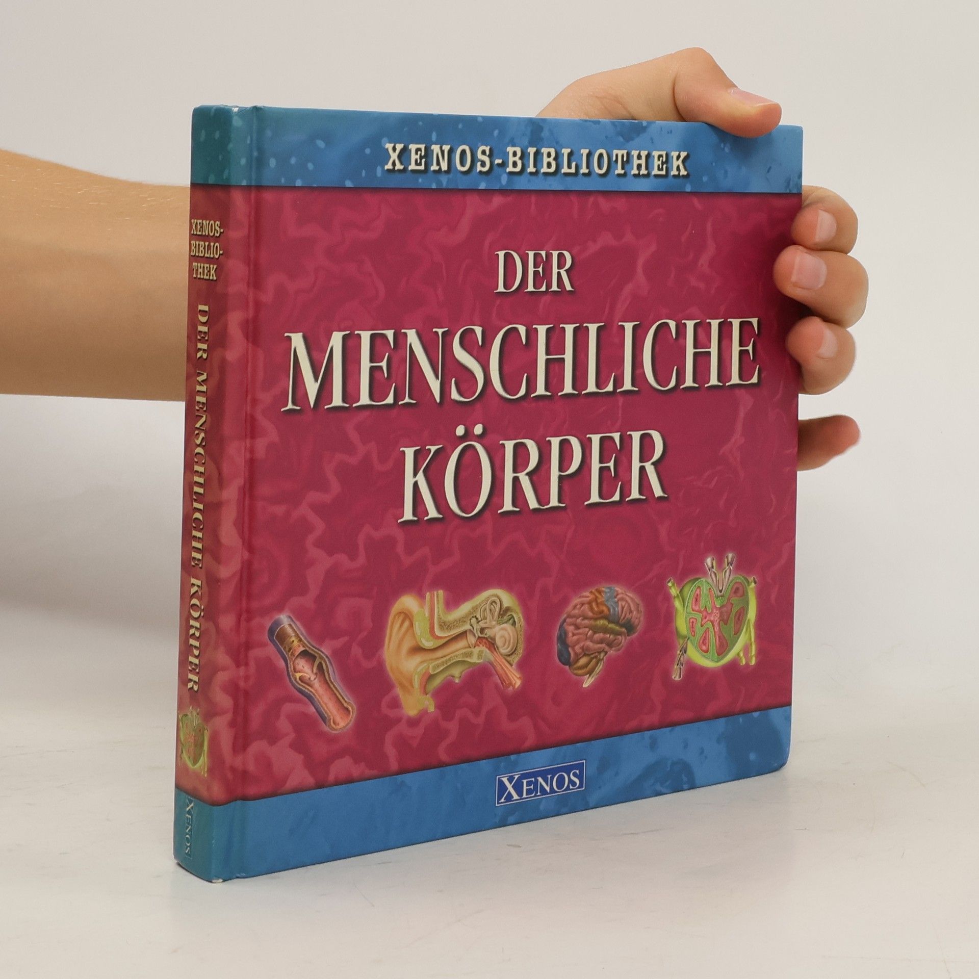 Der menschliche Körper