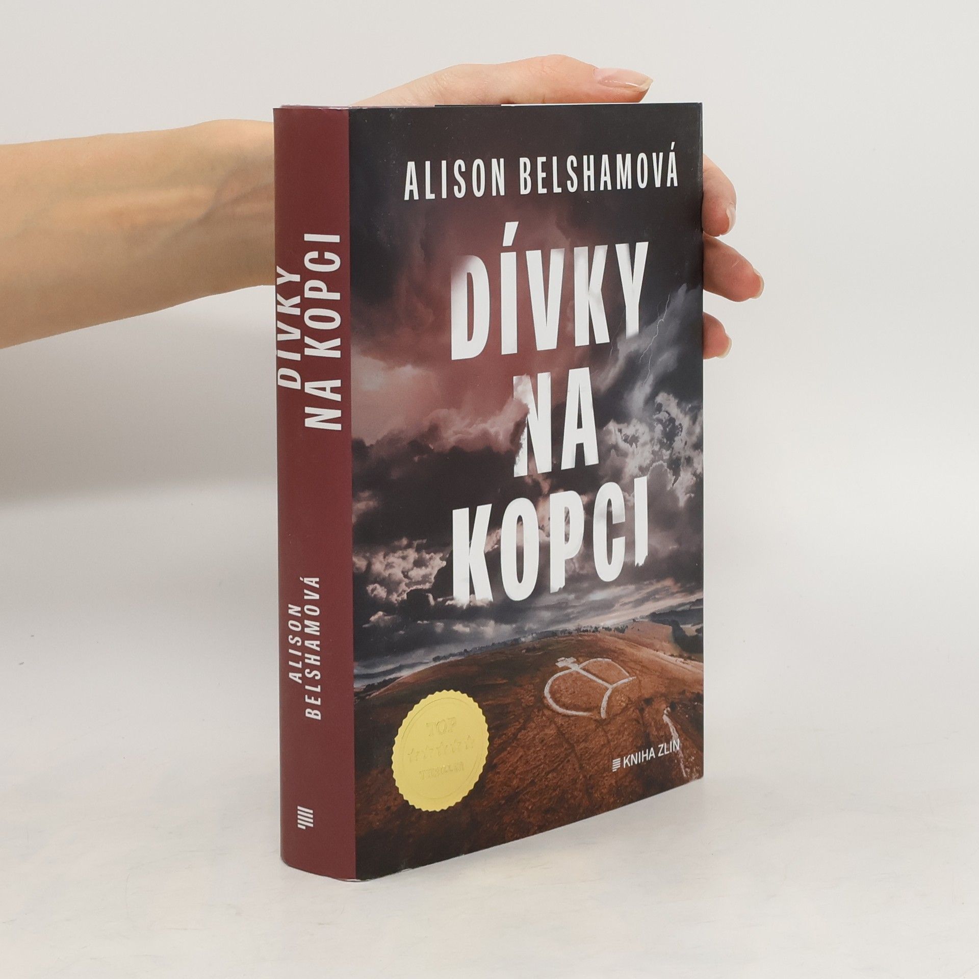 Alison Belsham Dívky na kopci