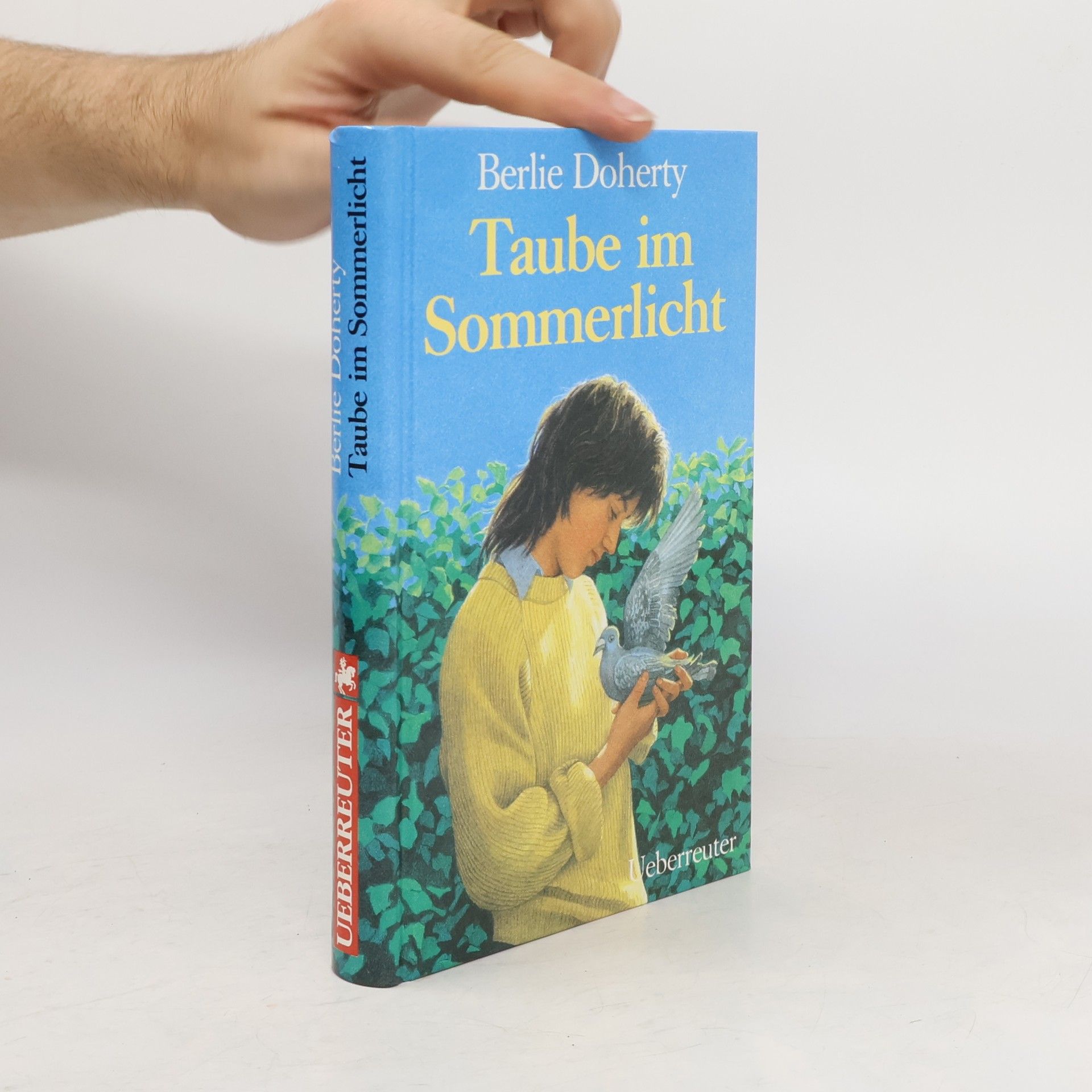 Berlie Doherty Taube im Sommerlicht