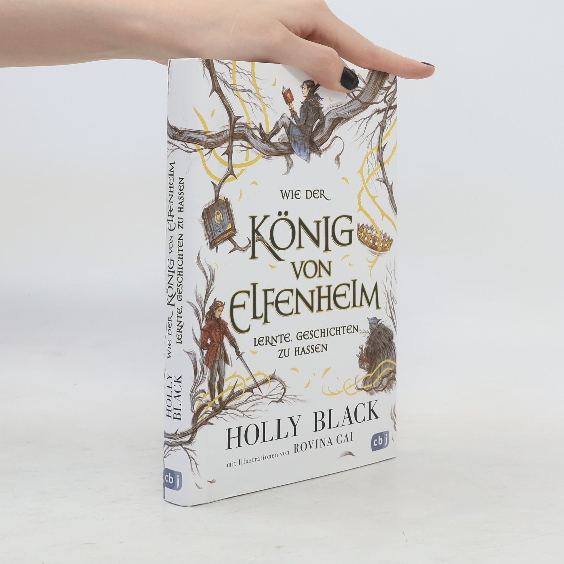 Holly Black Wie der König von Elfenheim lernte, Geschichten zu hassen