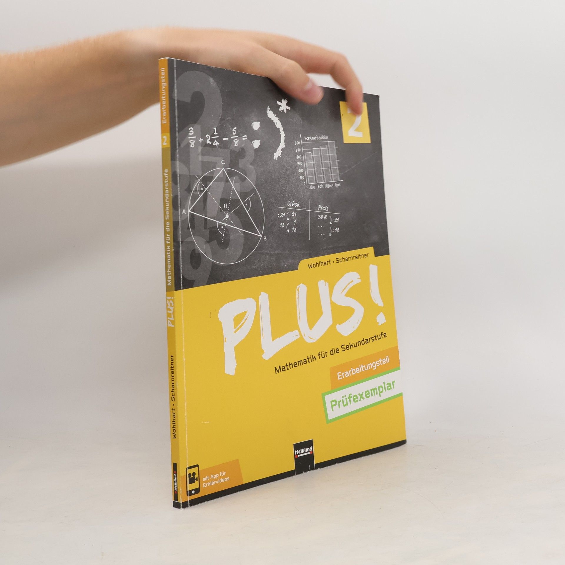 David Wohlhart PLUS! Mathematik für die Sekundarstufe 2, Erarbeitungsteil