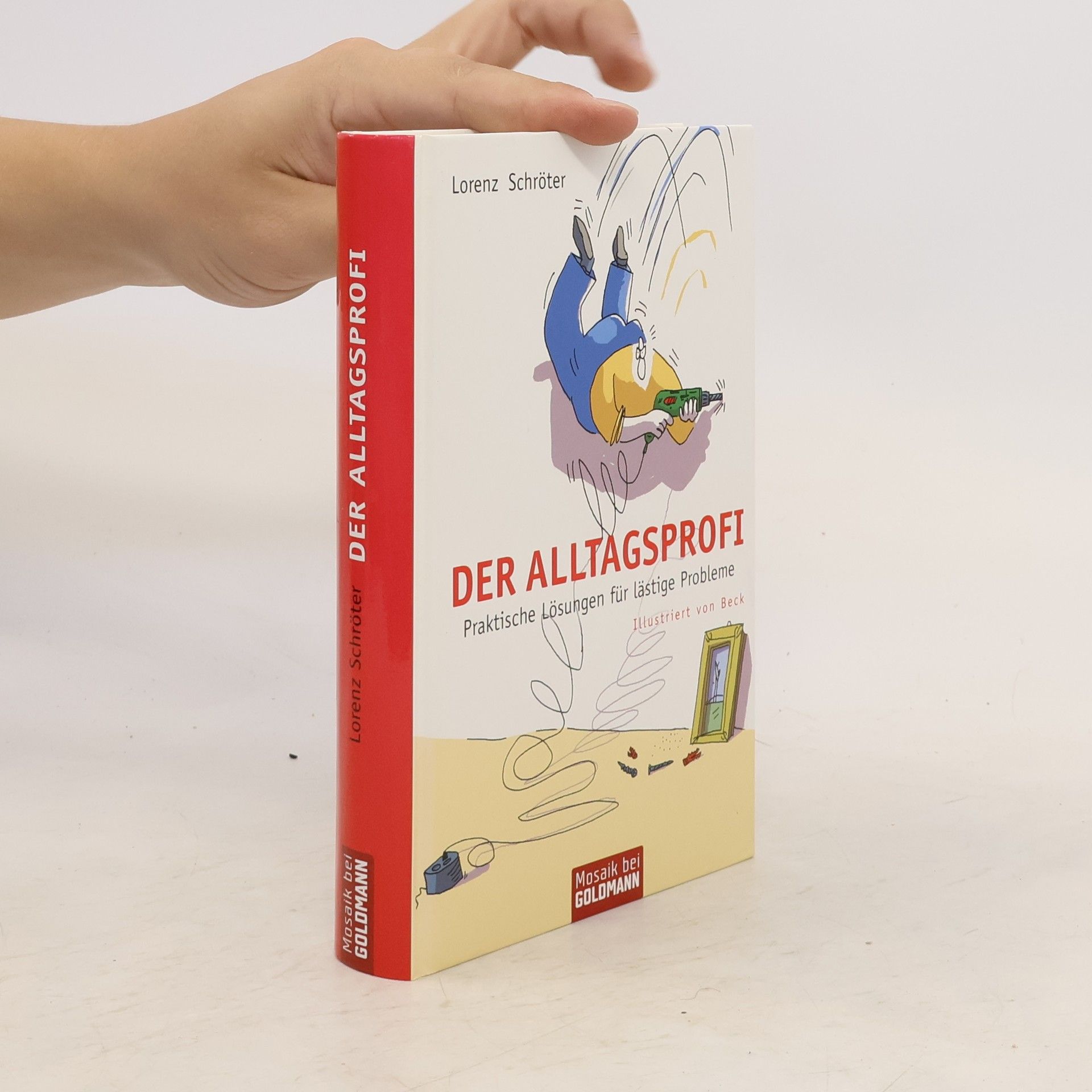 Lorenz Schröter Der Alltagsprofi