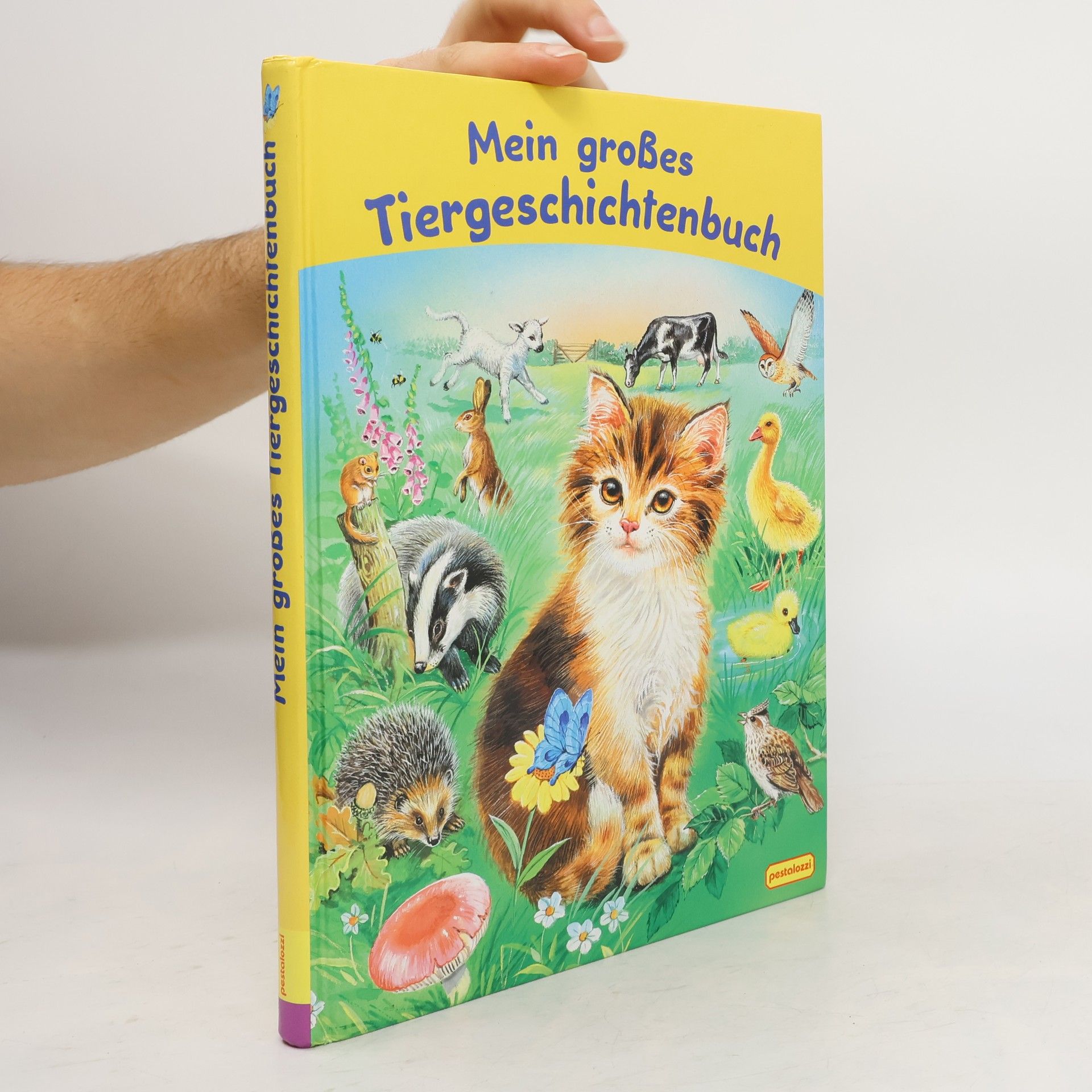 Collectif d'auteurs Mein grosses Tiergeschichtenbuch