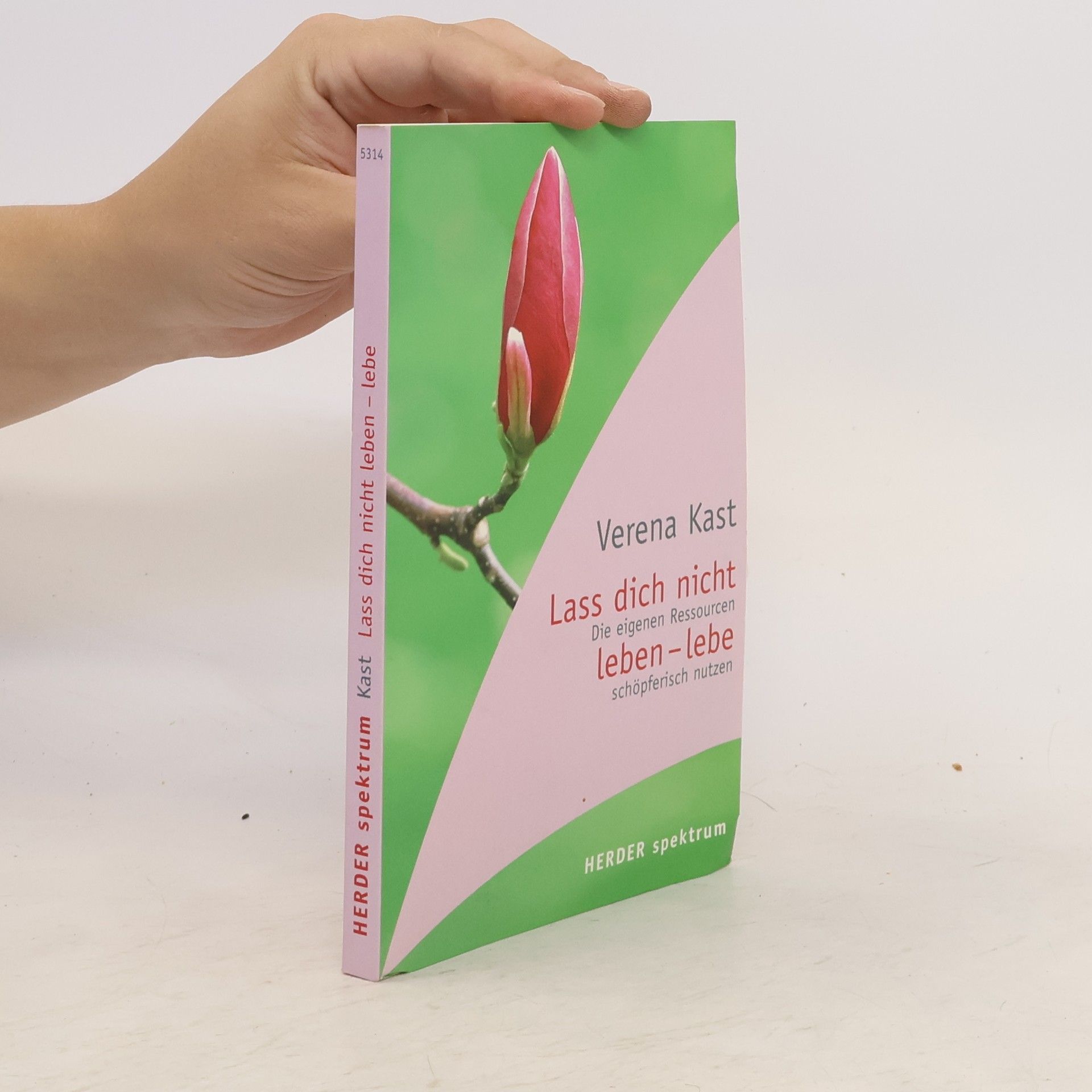 Verena Kast Lass dich nicht leben - lebe!