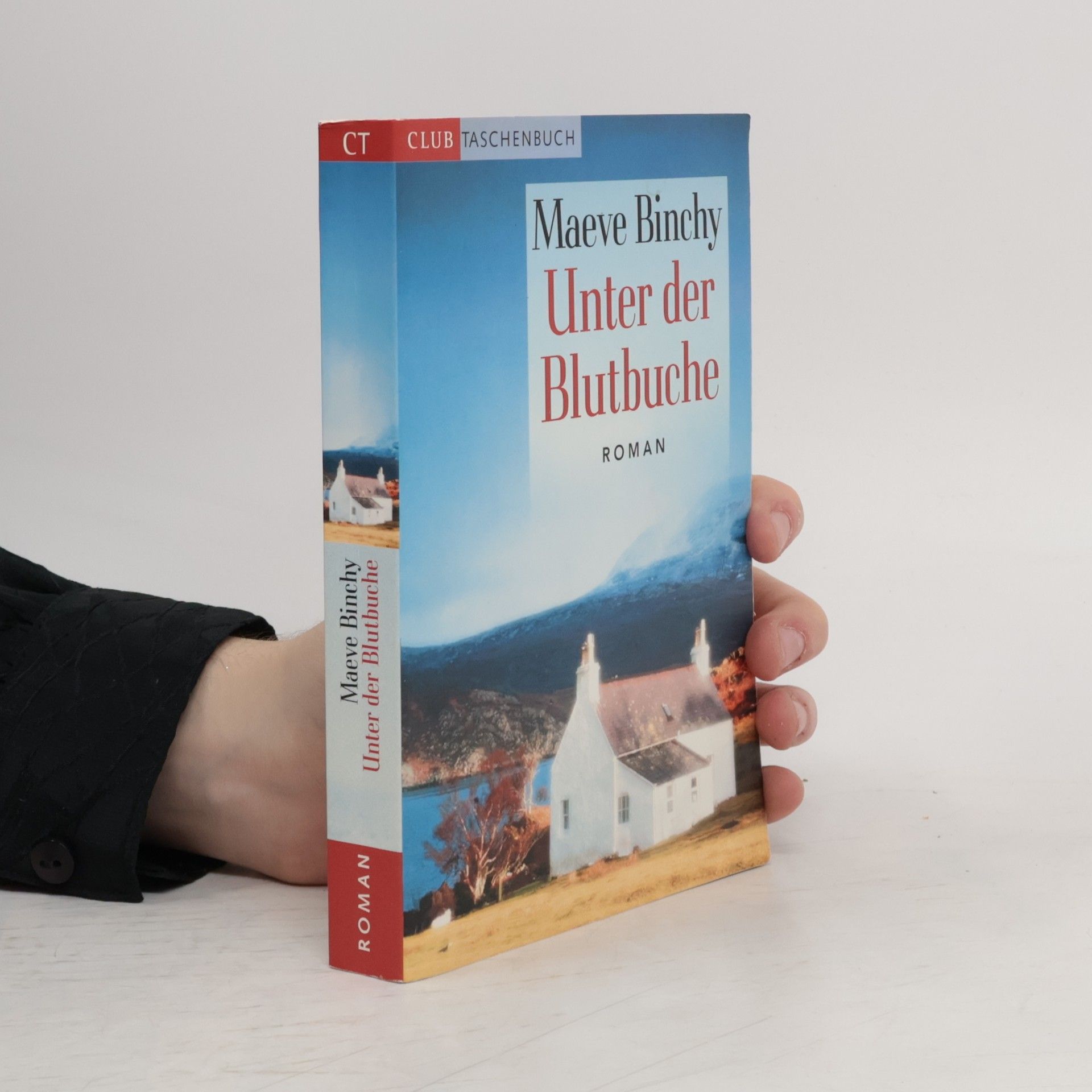 Maeve Binchy Unter der Blutbuche