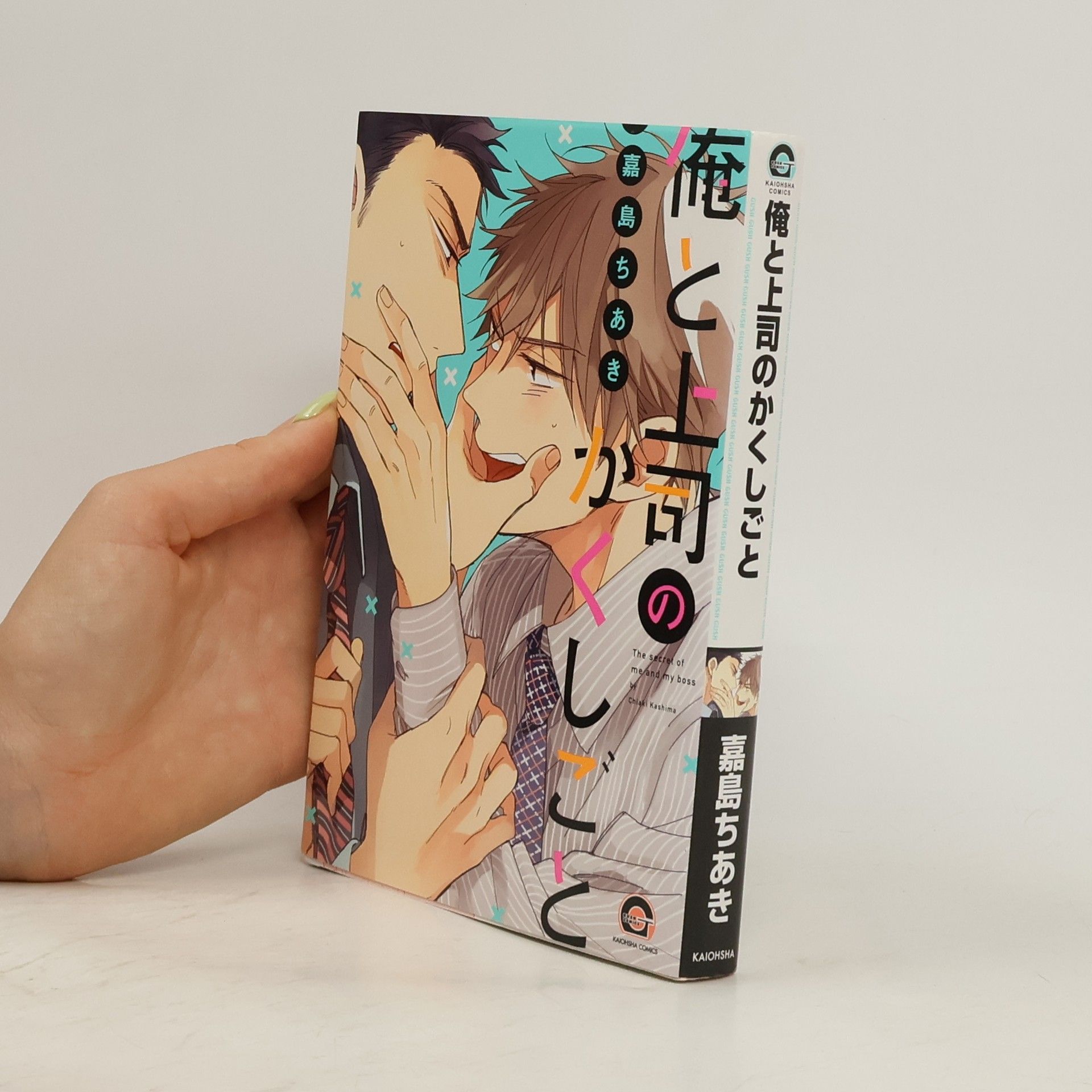 Chiaki Kashima 俺と上司のかくしごと