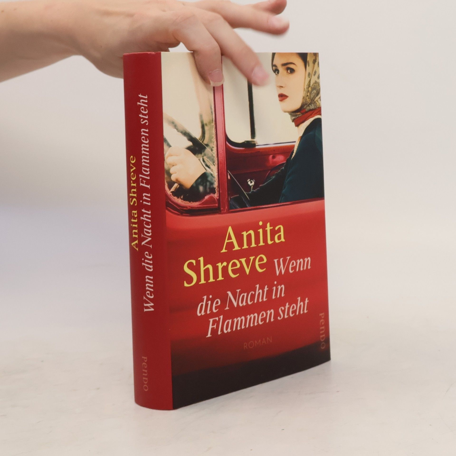 Anita Shreve Wenn die Nacht in Flammen steht