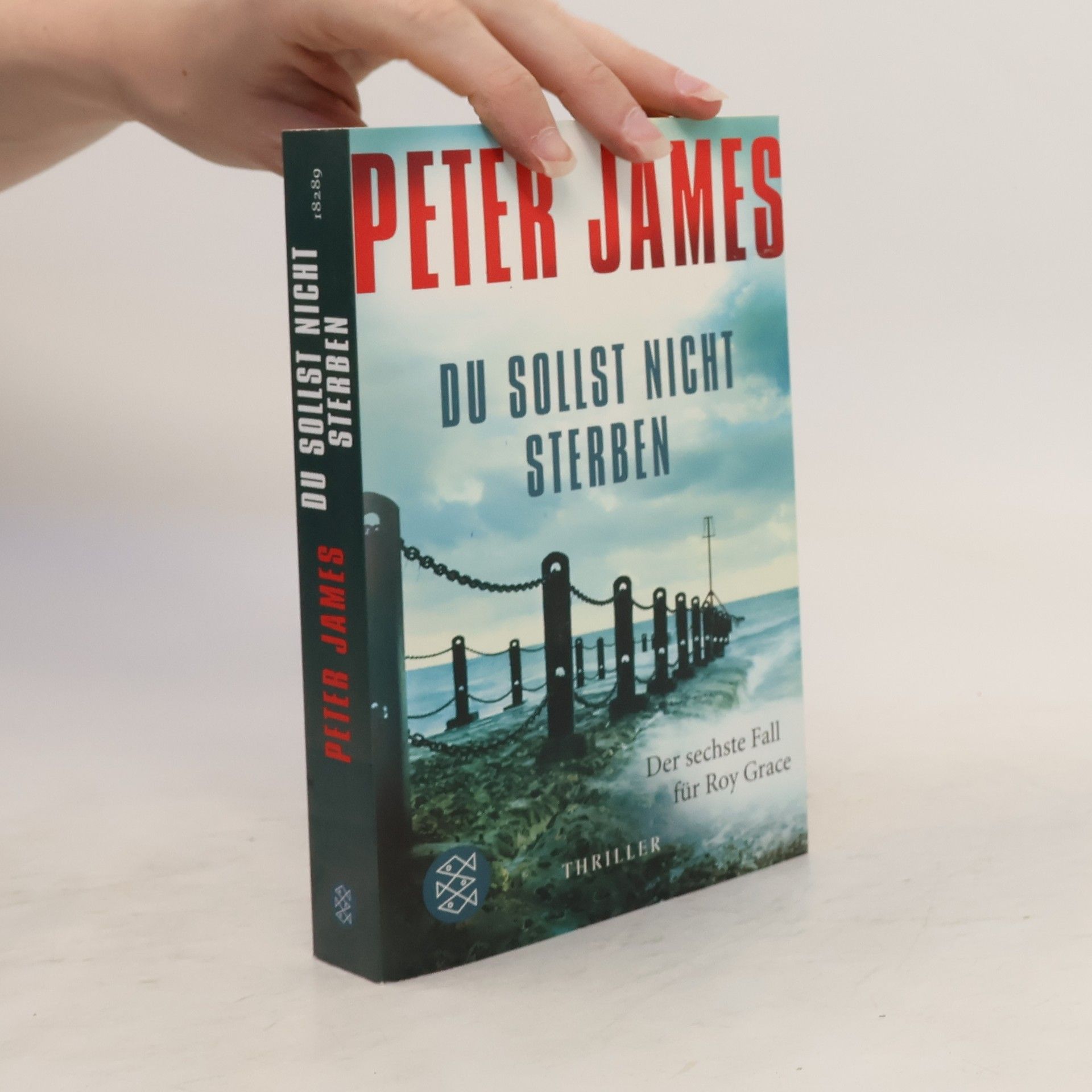 Peter James Du sollst nicht sterben