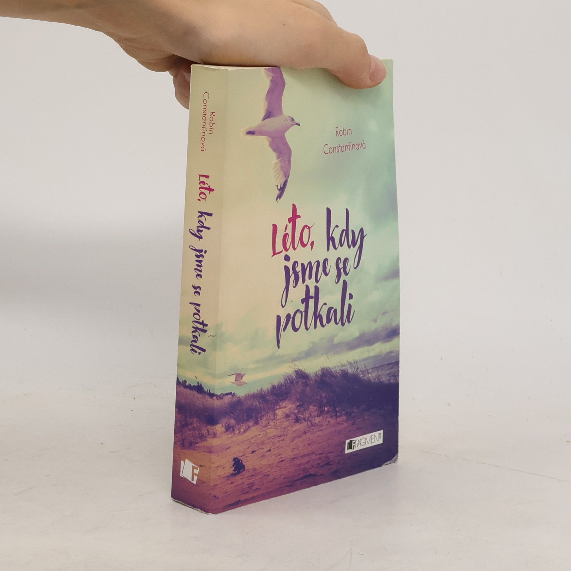 Robin Constantine Léto, kdy jsme se potkali