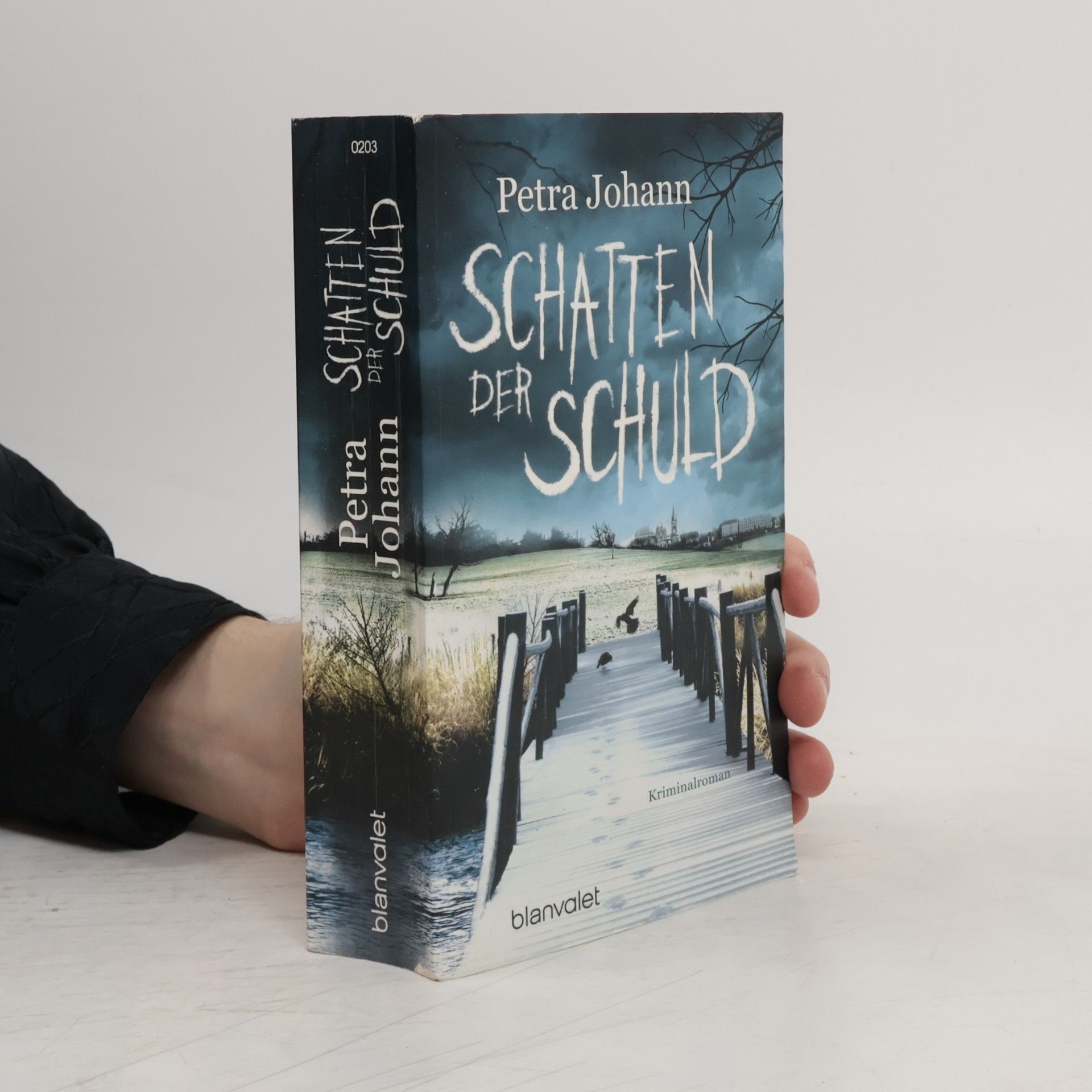 Petra Johann Schatten der Schuld