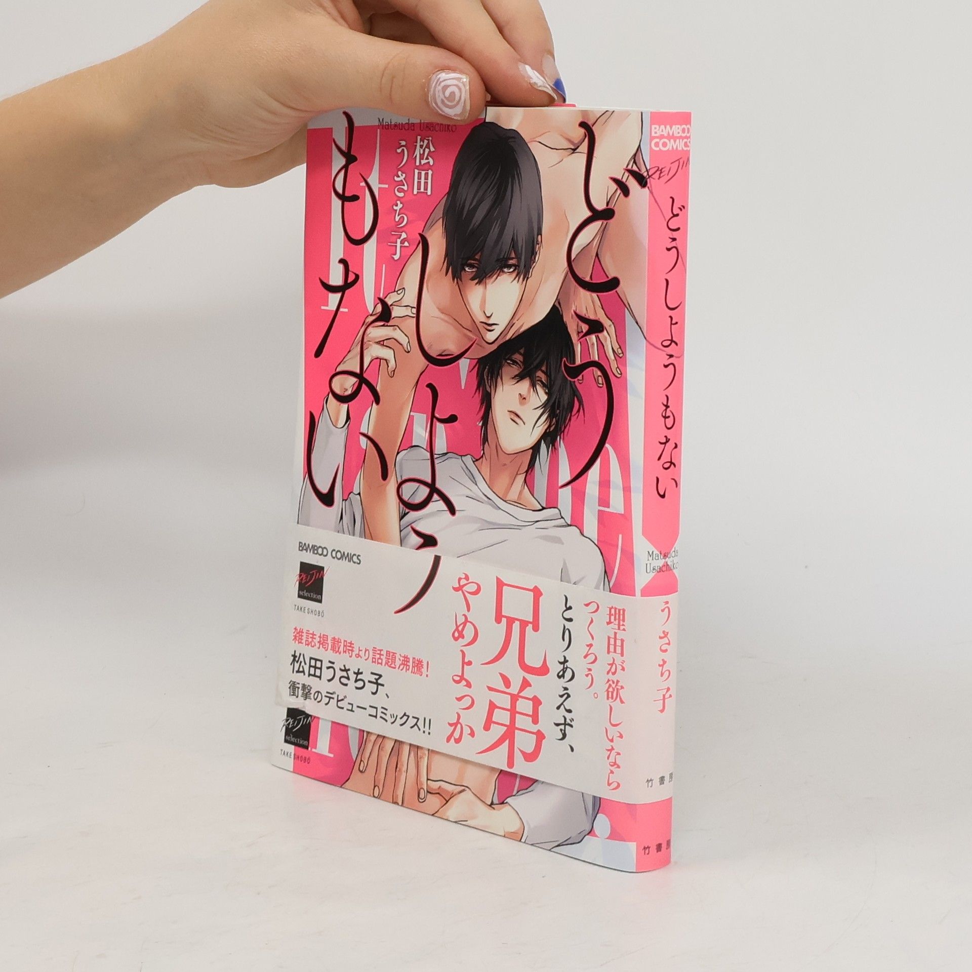 Collectif d'auteurs どうしようもない