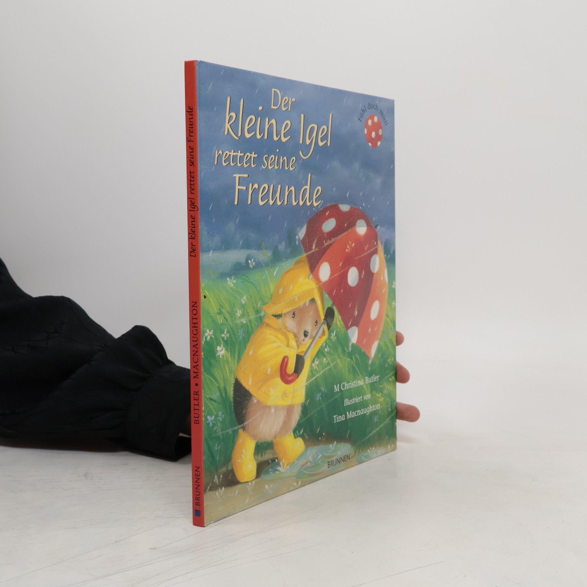 M. Christina Butler Der kleine Igel rettet seine Freunde