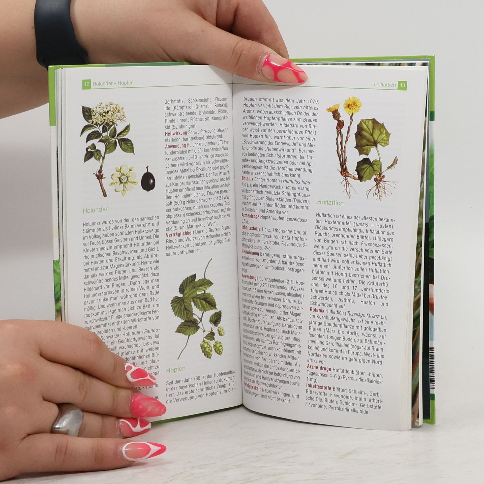 Autores varios Klostermedizin