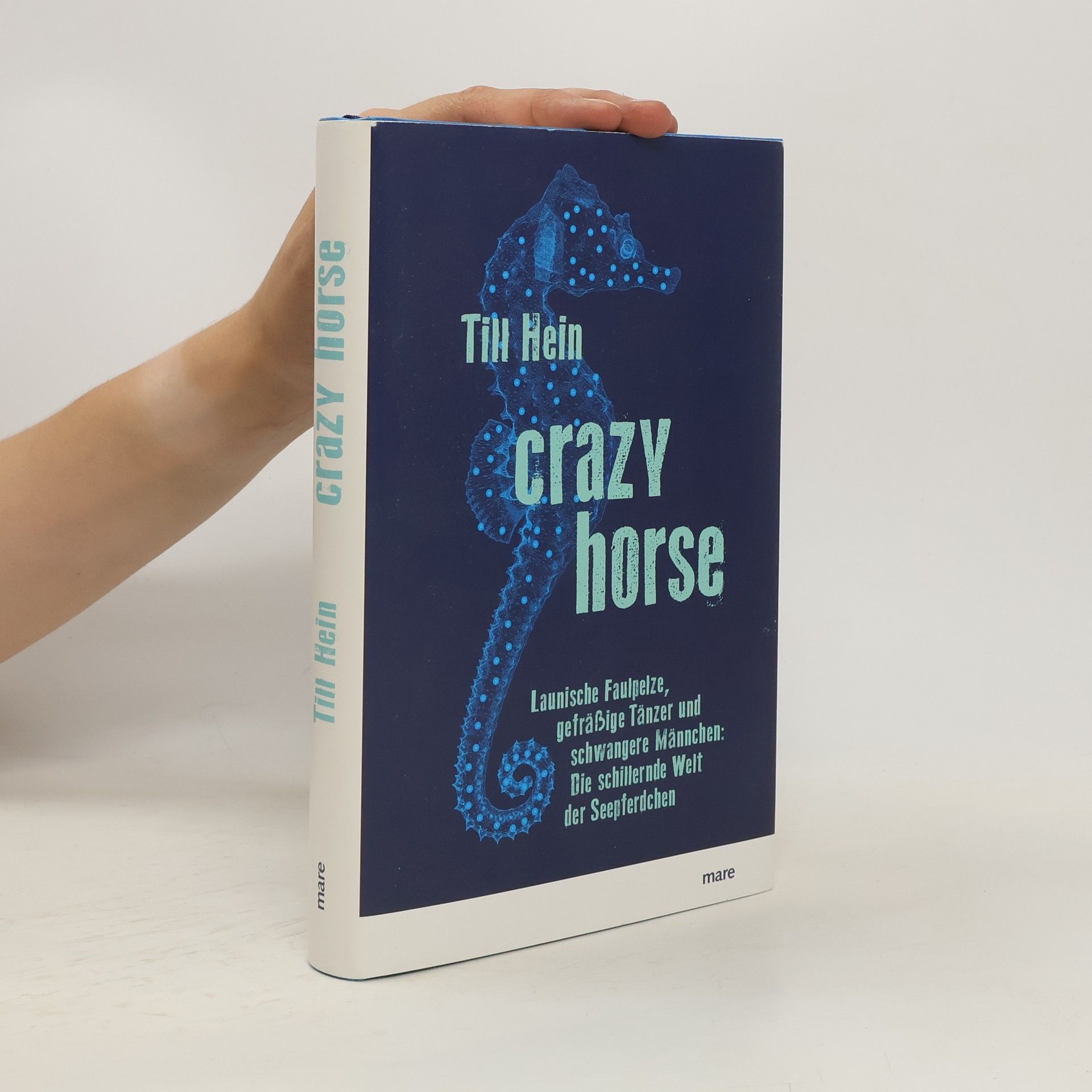 Till Hein Crazy Horse