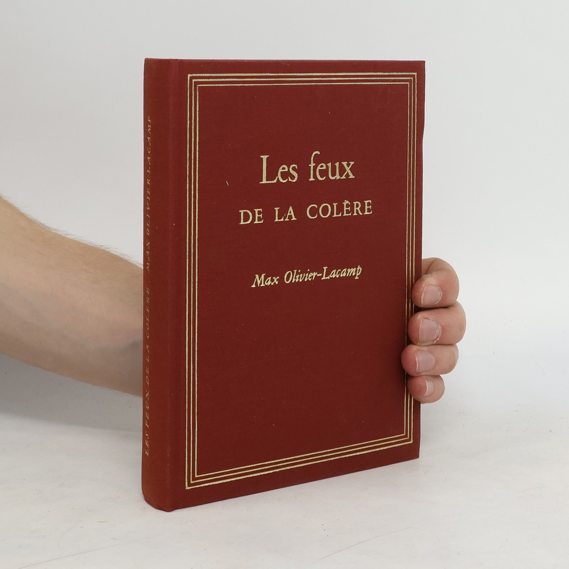 Max Olivier Lacamp  Les Feux de la colère