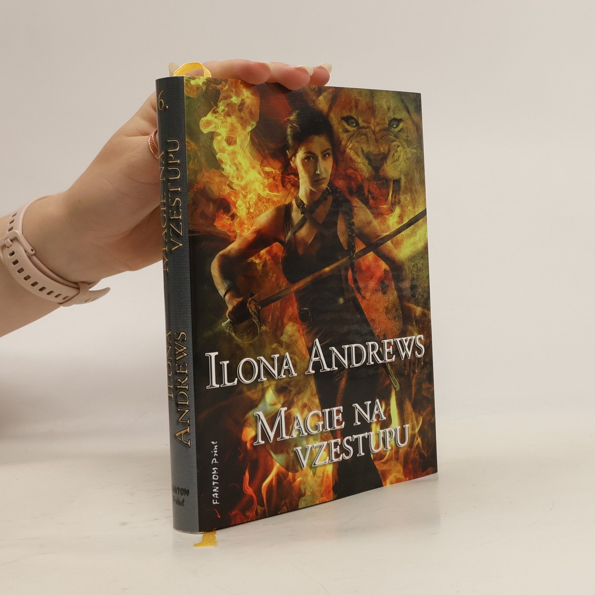 Ilona Andrews Magie na vzestupu