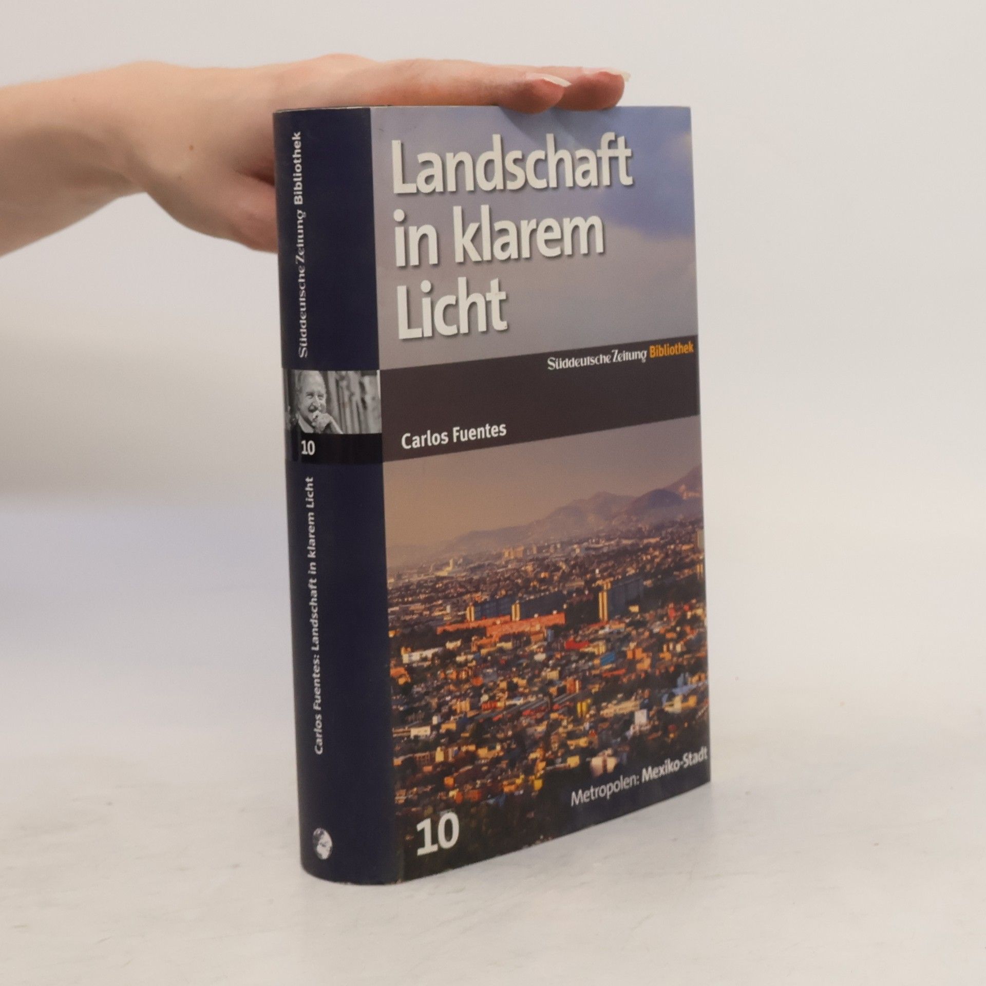Carlos Fuentes Landschaft in klarem Licht