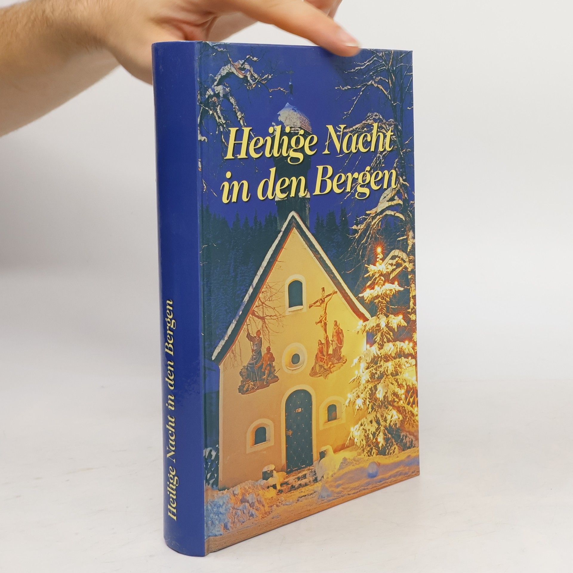 kolektiv Heilige Nacht in den Bergen