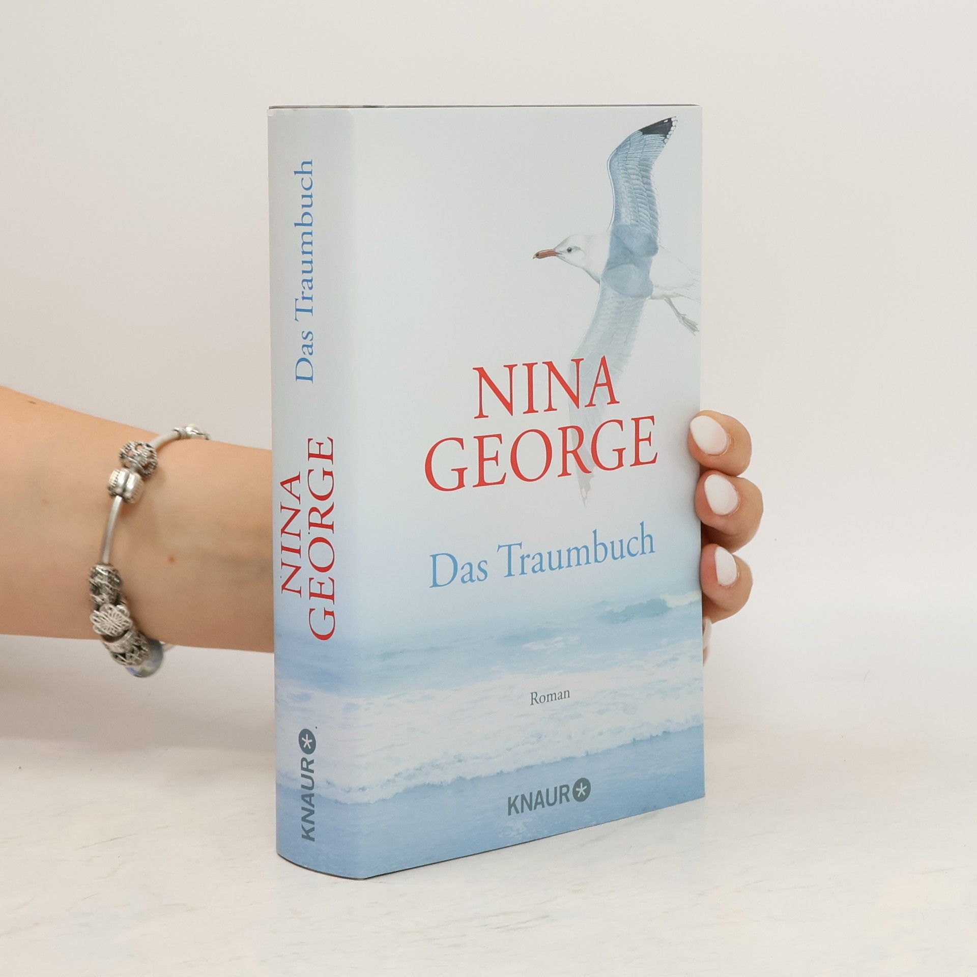 Nina George Das Traumbuch