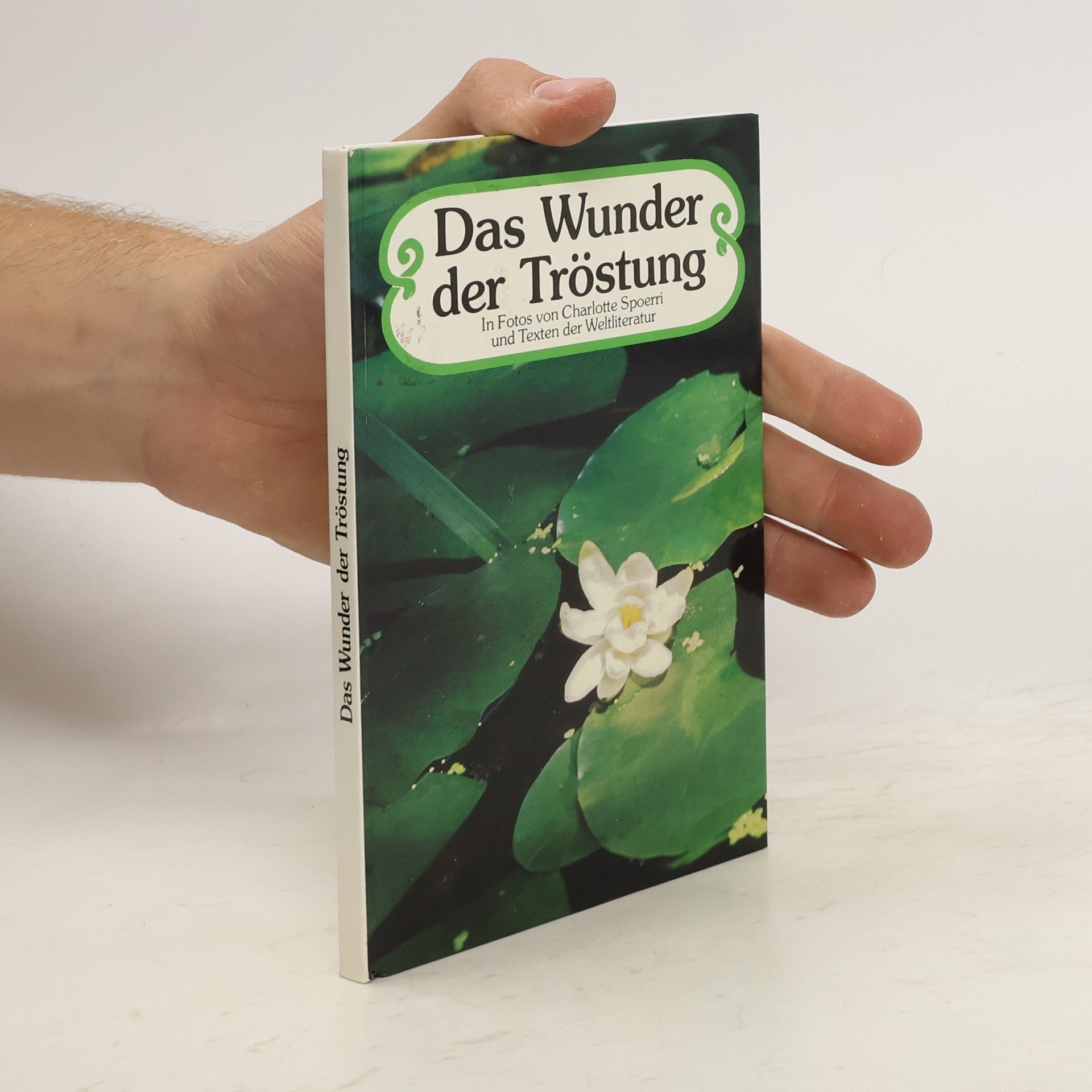 Charlotte Spoerri Das Wunder der Tröstung