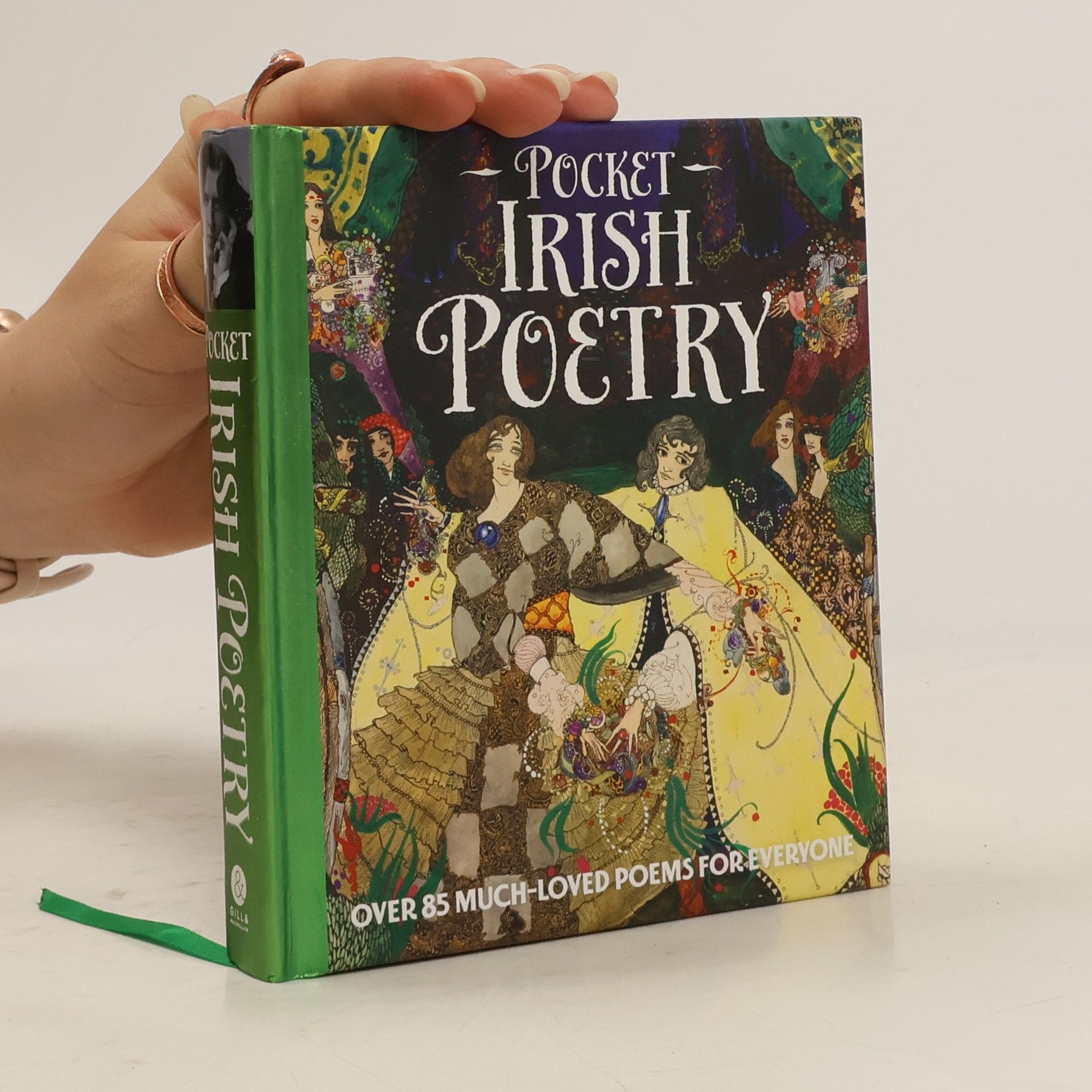 Fiona Biggs Pocket. Irish Poetry