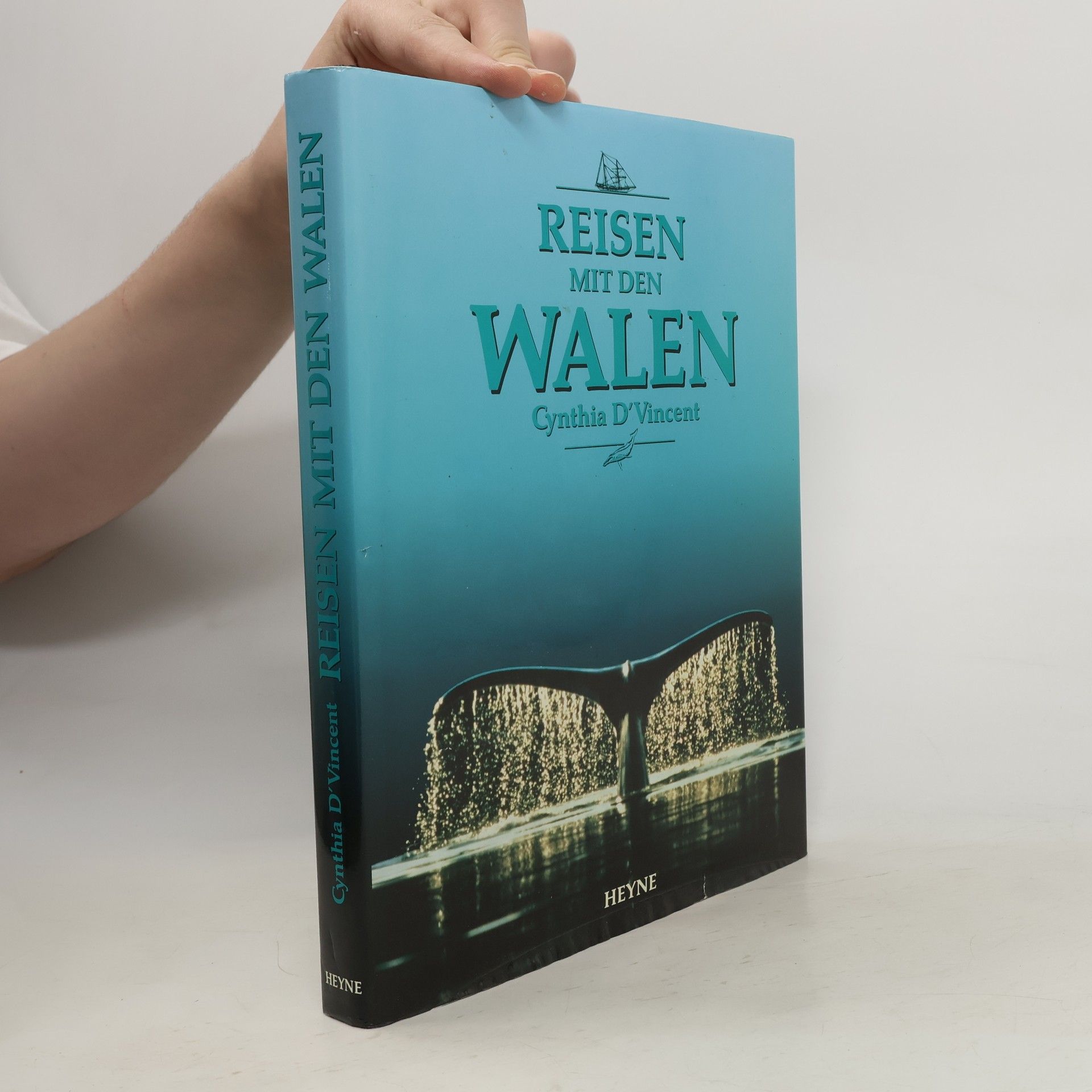 Cynthia DVincent Reisen mit den Walen