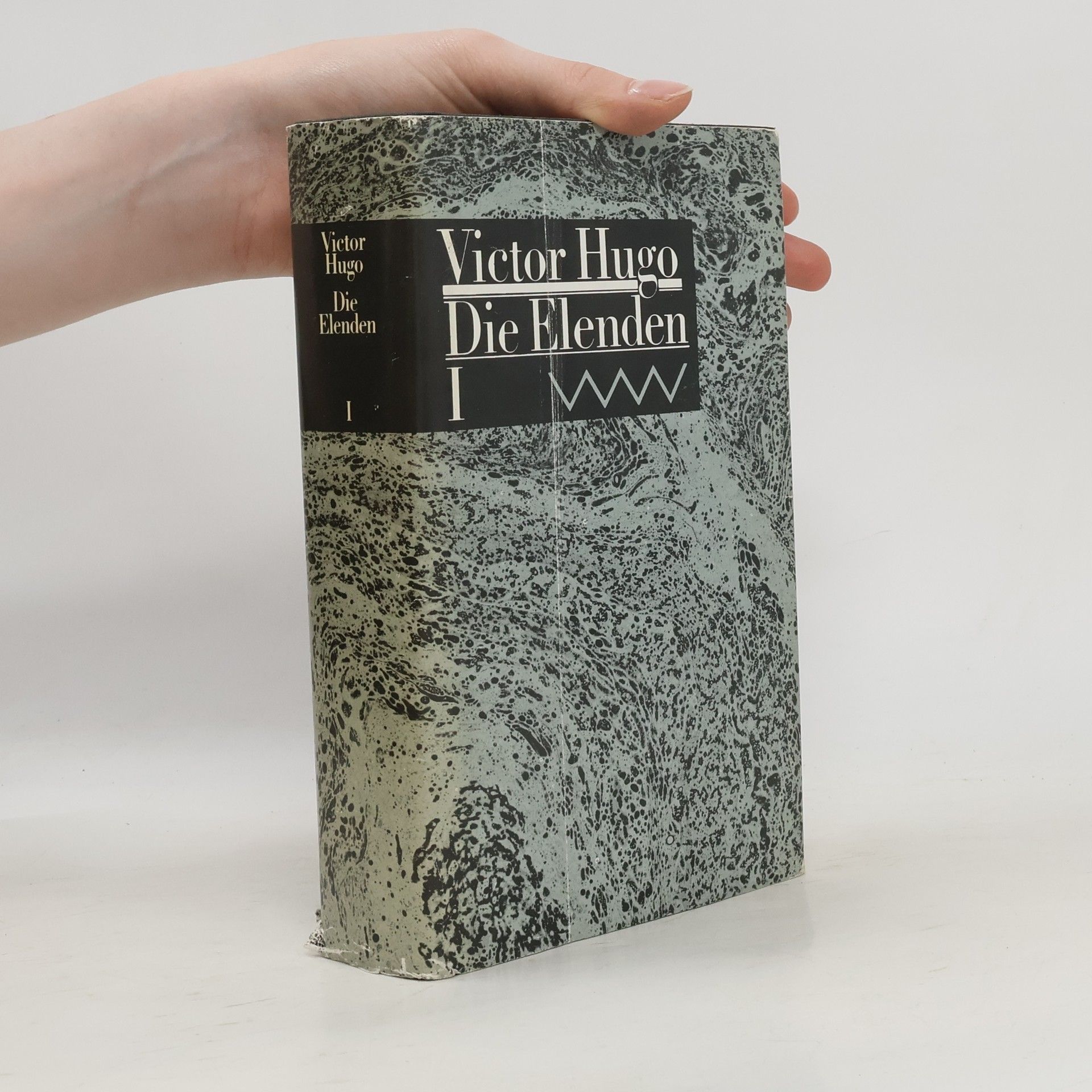 Victor Hugo Die Elenden