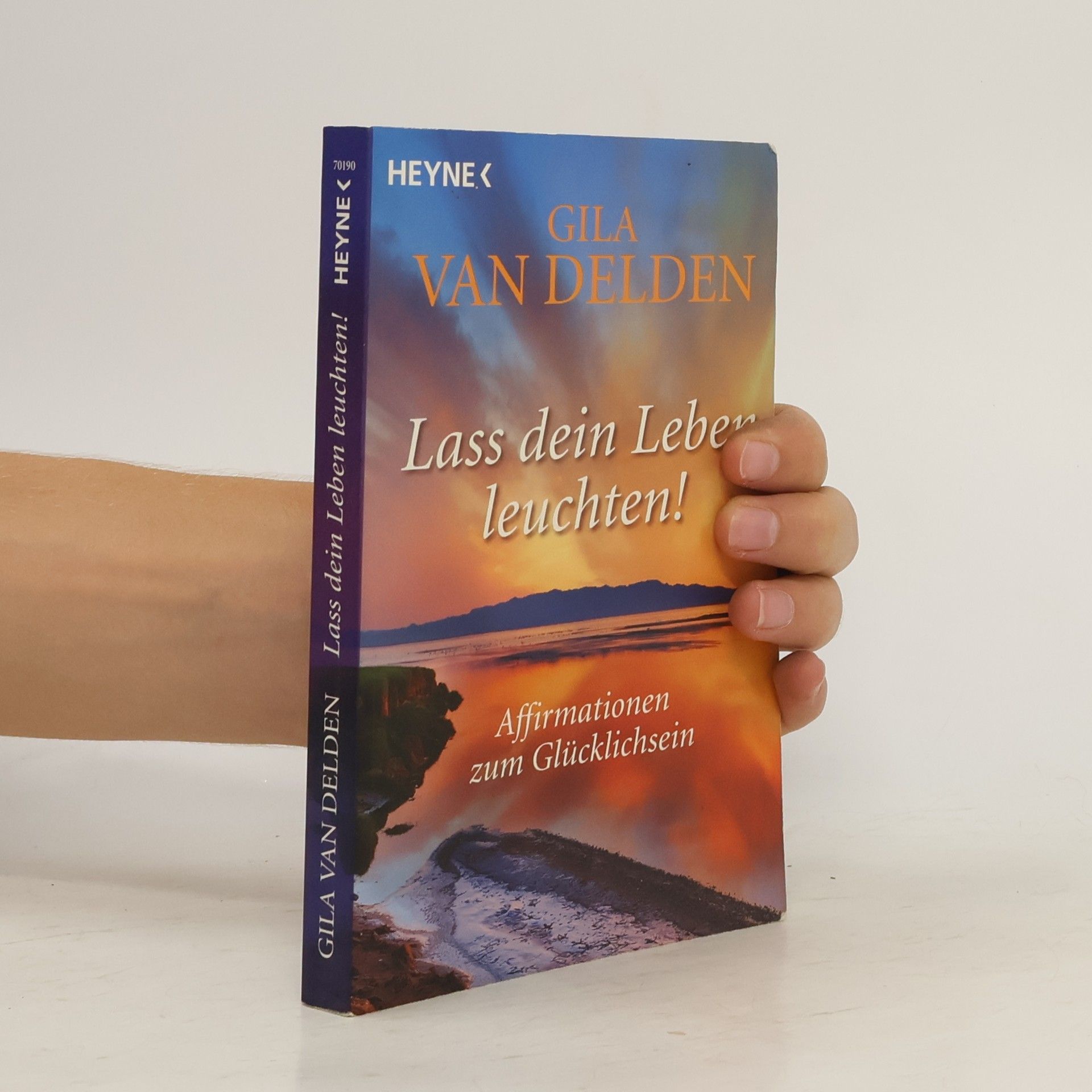 Gila van Delden Lass dein Leben leuchten!