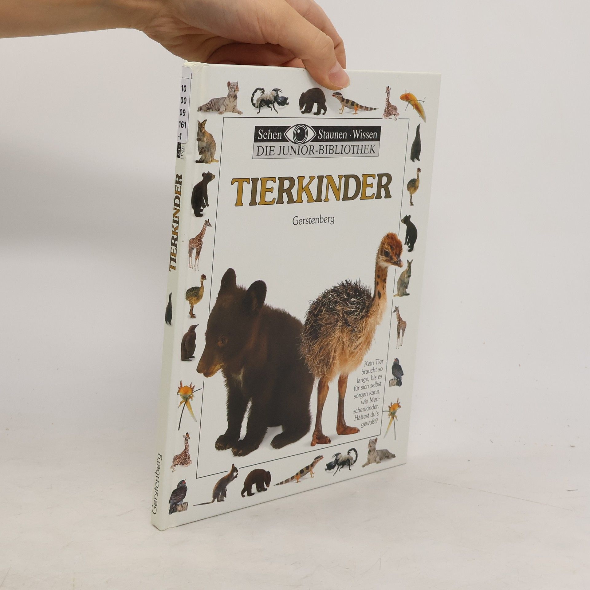 Christopher Maynard Tierkinder