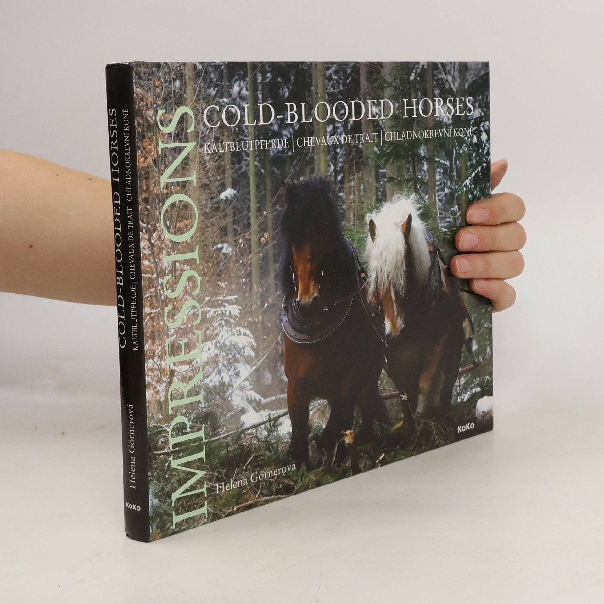 Helena Görnerová Cold-blooded horses