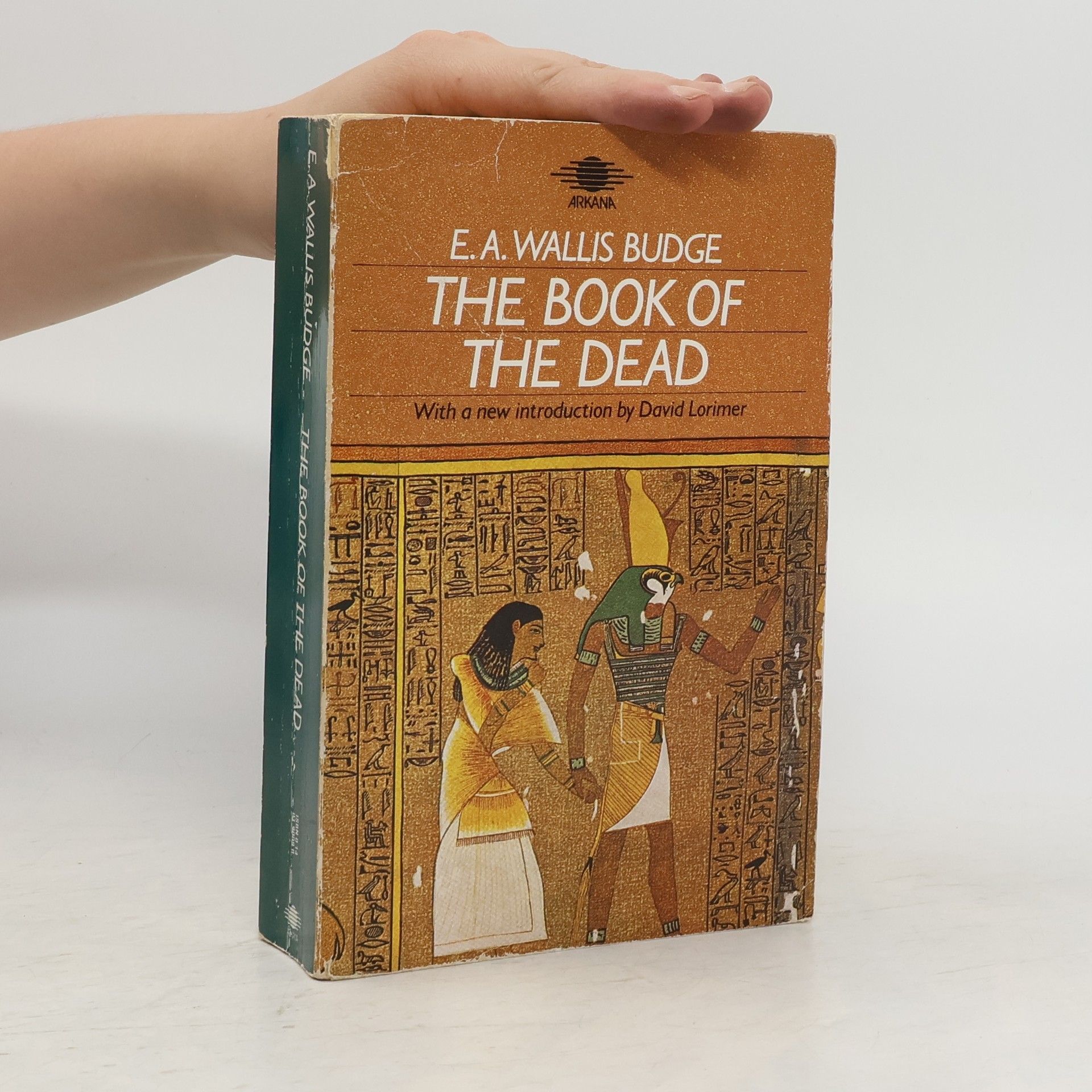 David Lorimer The Book of the Dead