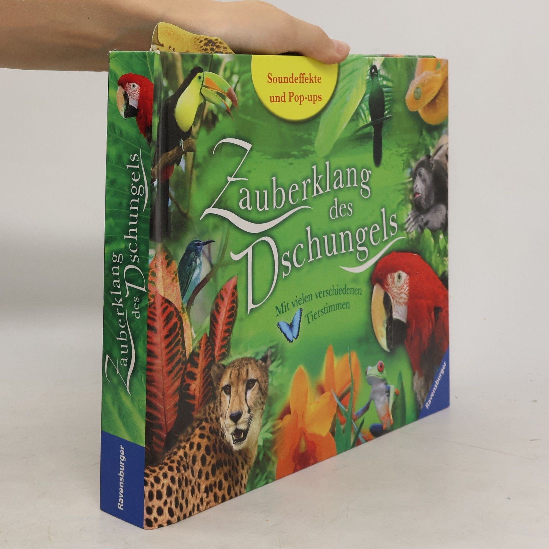 kolektiv Zauberklang des Dschungels