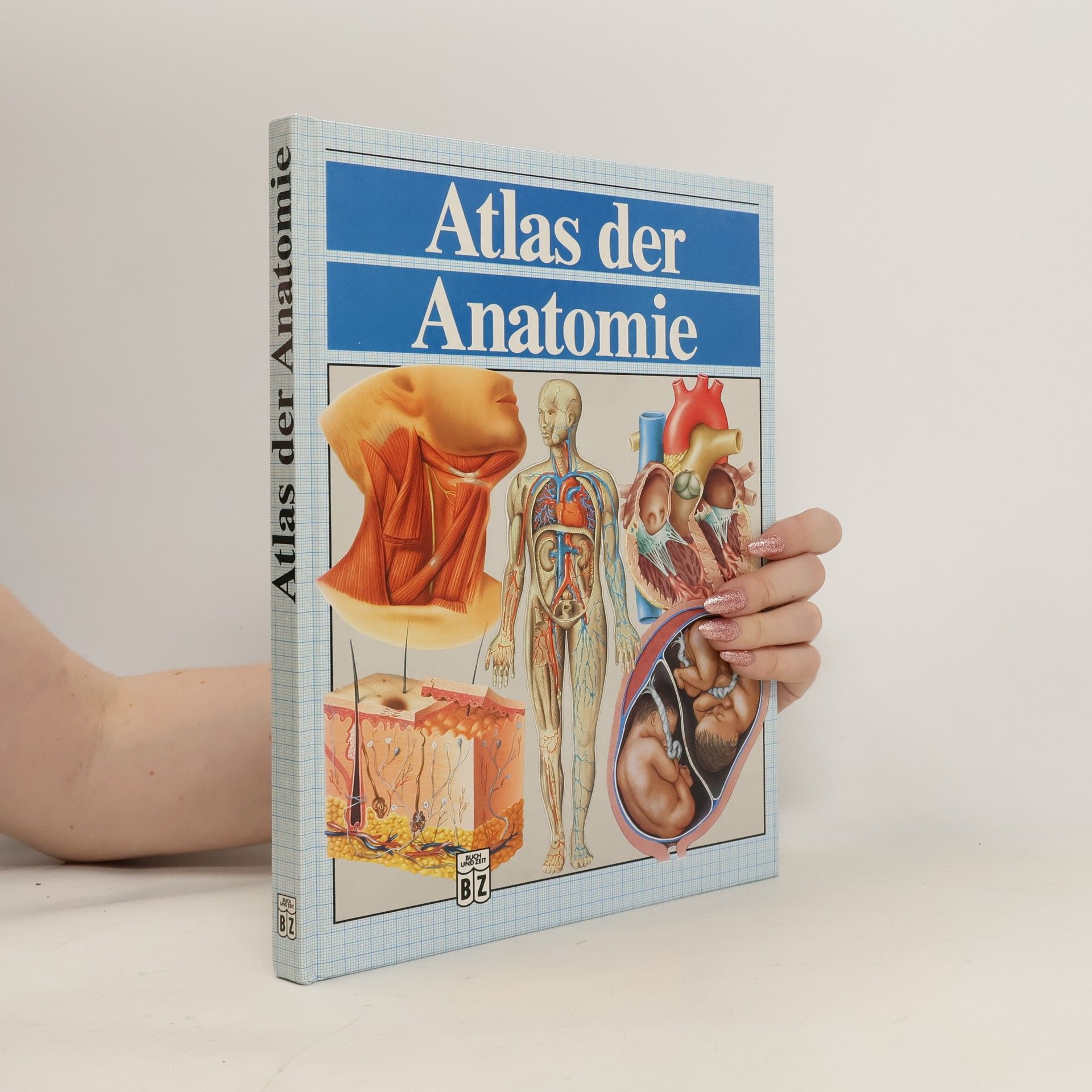 Collectif d'auteurs Atlas der Anatomie