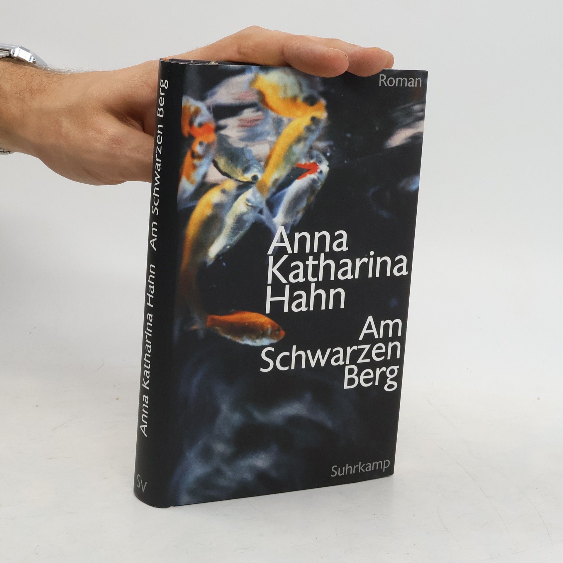 Anna Katharina Hahn Am Schwarzen Berg